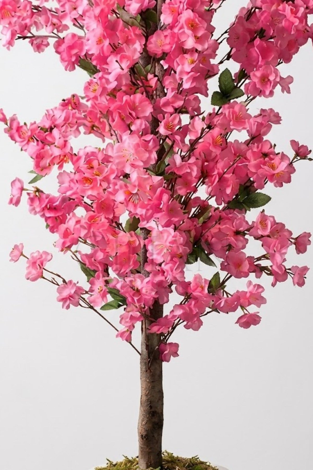 Yapay Pembe Bahar Dalı Ağacı 160 cm - Beyaz Küre Saksılı