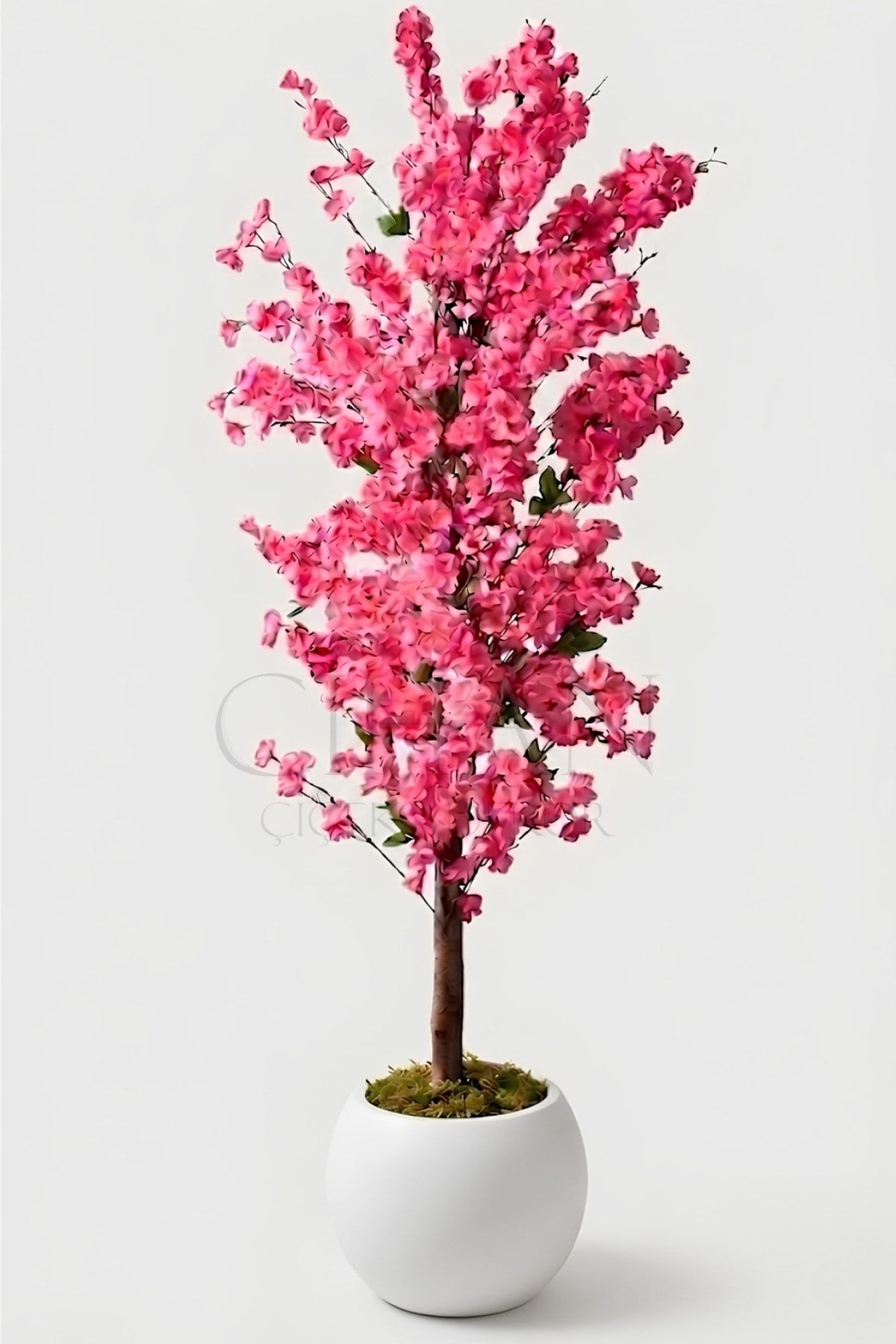Yapay Pembe Bahar Dalı Ağacı 160 cm - Beyaz Küre Saksılı