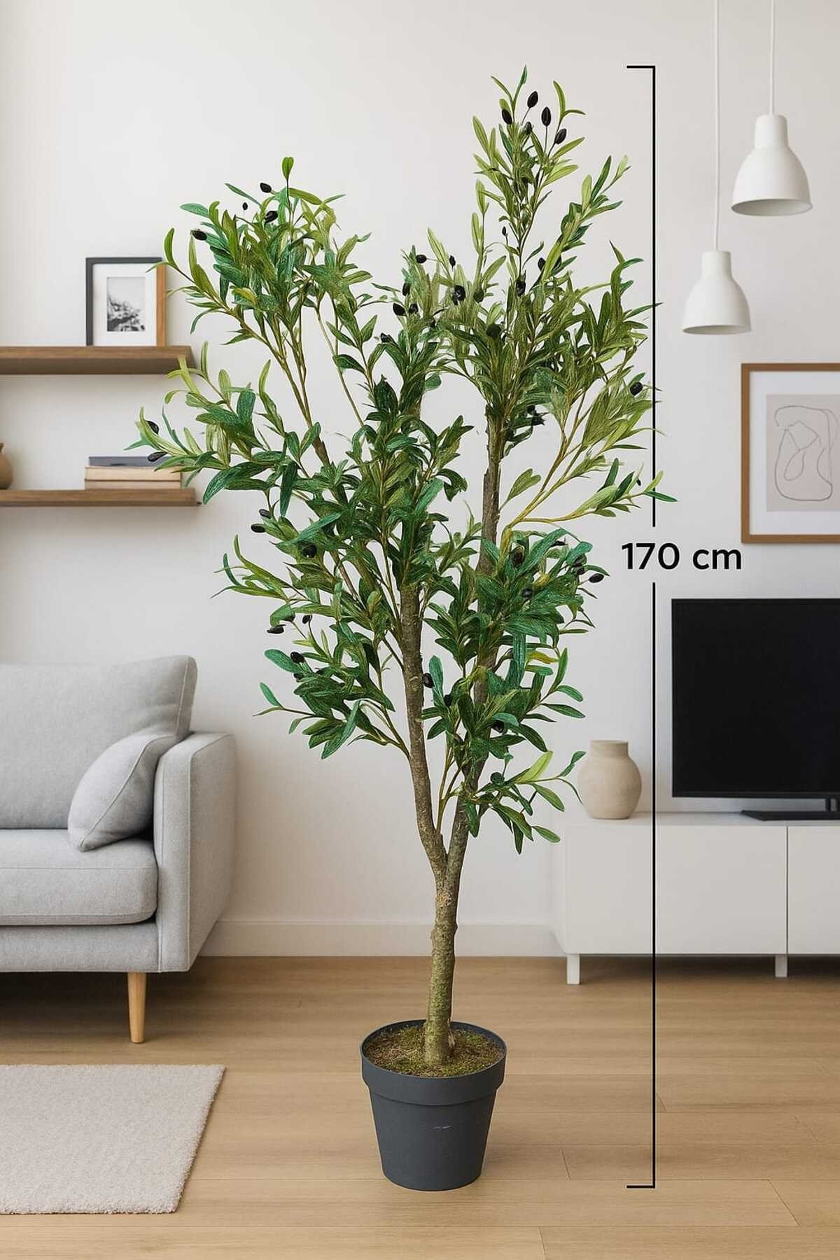 Yapay Zeytin Ağacı 170 Cm Boyunda Dekoratif Modern İç Mekan Salon Ofis Ağacı