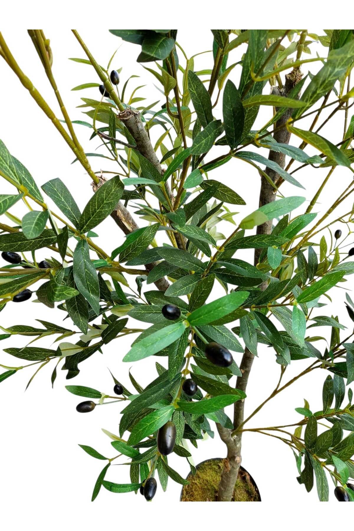Yapay Zeytin Ağacı 170 Cm Boyunda Dekoratif Modern İç Mekan Salon Ofis Ağacı