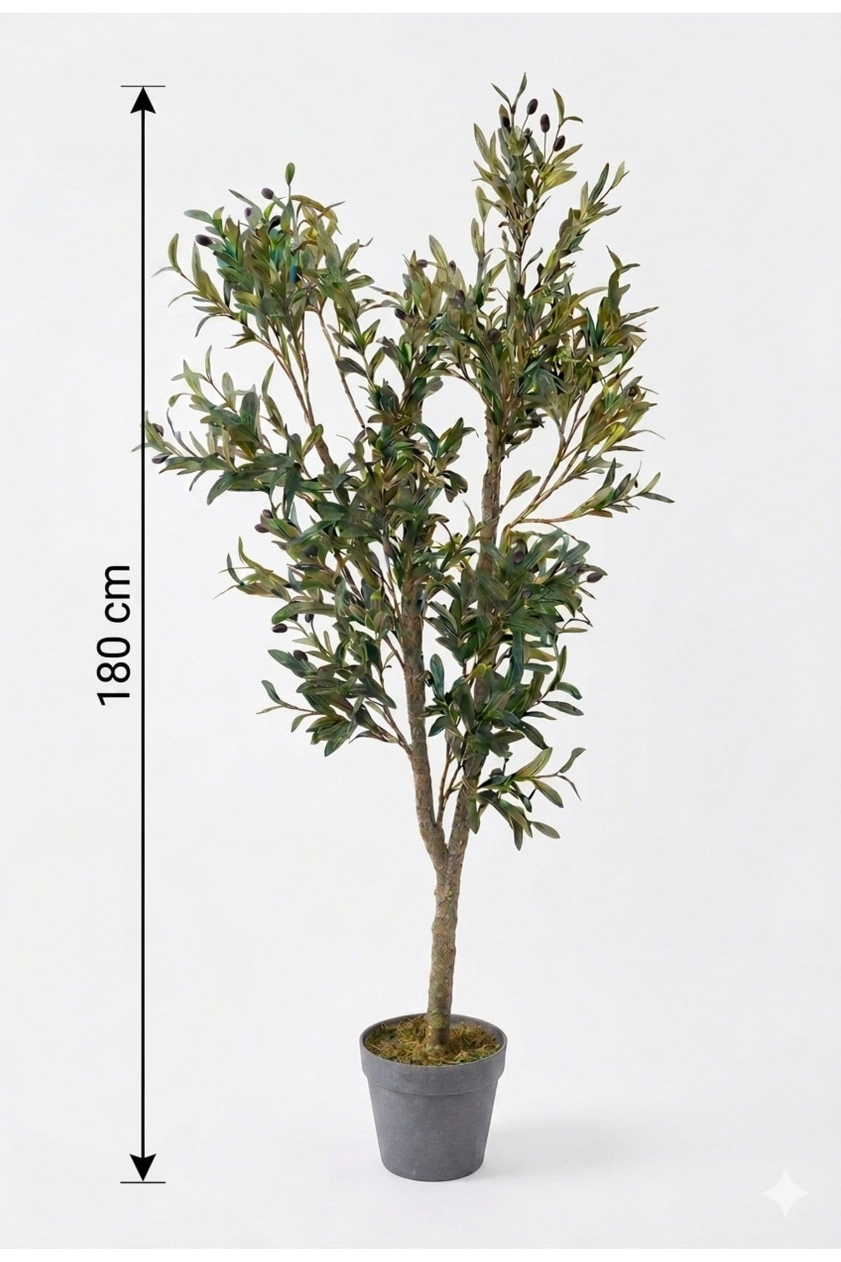 Yapay Zeytin Ağacı 180 cm Plastik Saksılı Büyük Boy Doğal Gövdeli Yapay Çiçek Salon Çiçeği