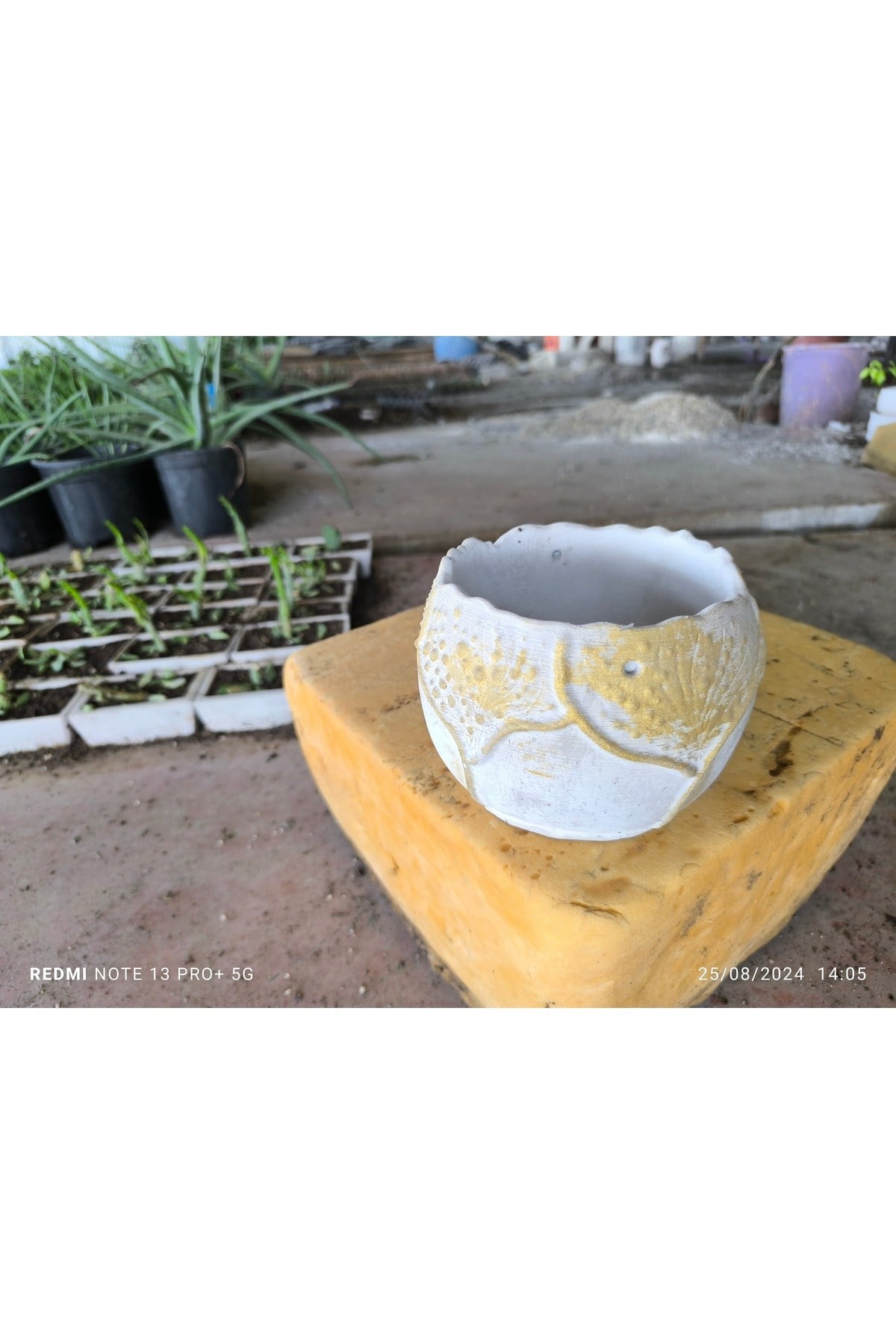 Yaprak desenli Beton orkide aranjman ve bonsai saksısı