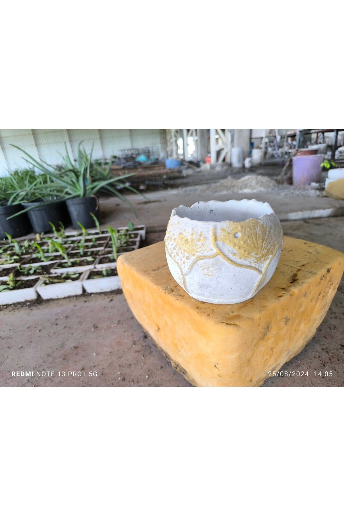 Yaprak desenli Beton orkide aranjman ve bonsai saksısı