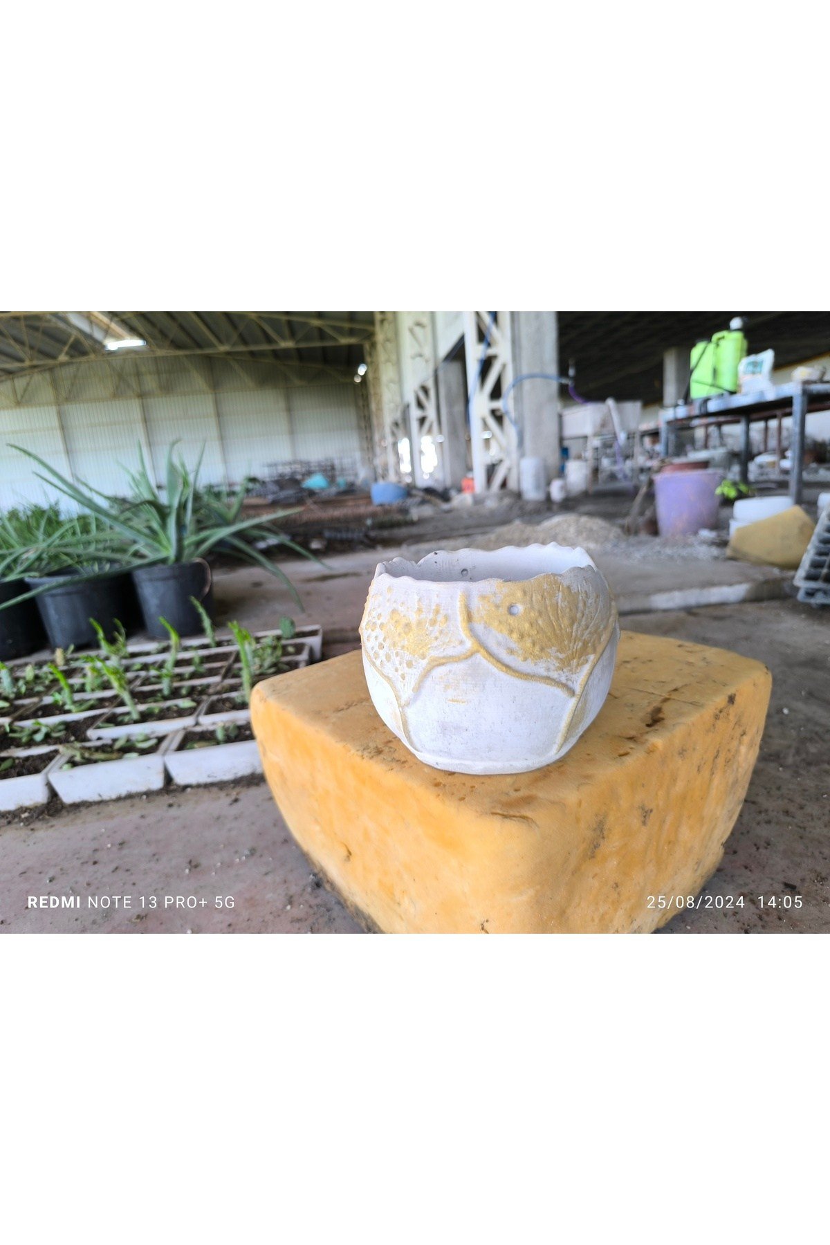 Yaprak desenli Beton orkide aranjman ve bonsai saksısı