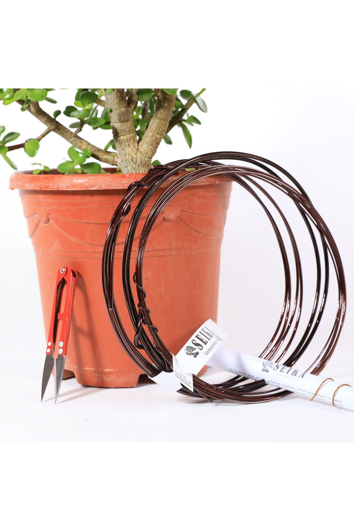 Yeşim Ağacı - Afra Bonsai Telleme Kiti No.X189