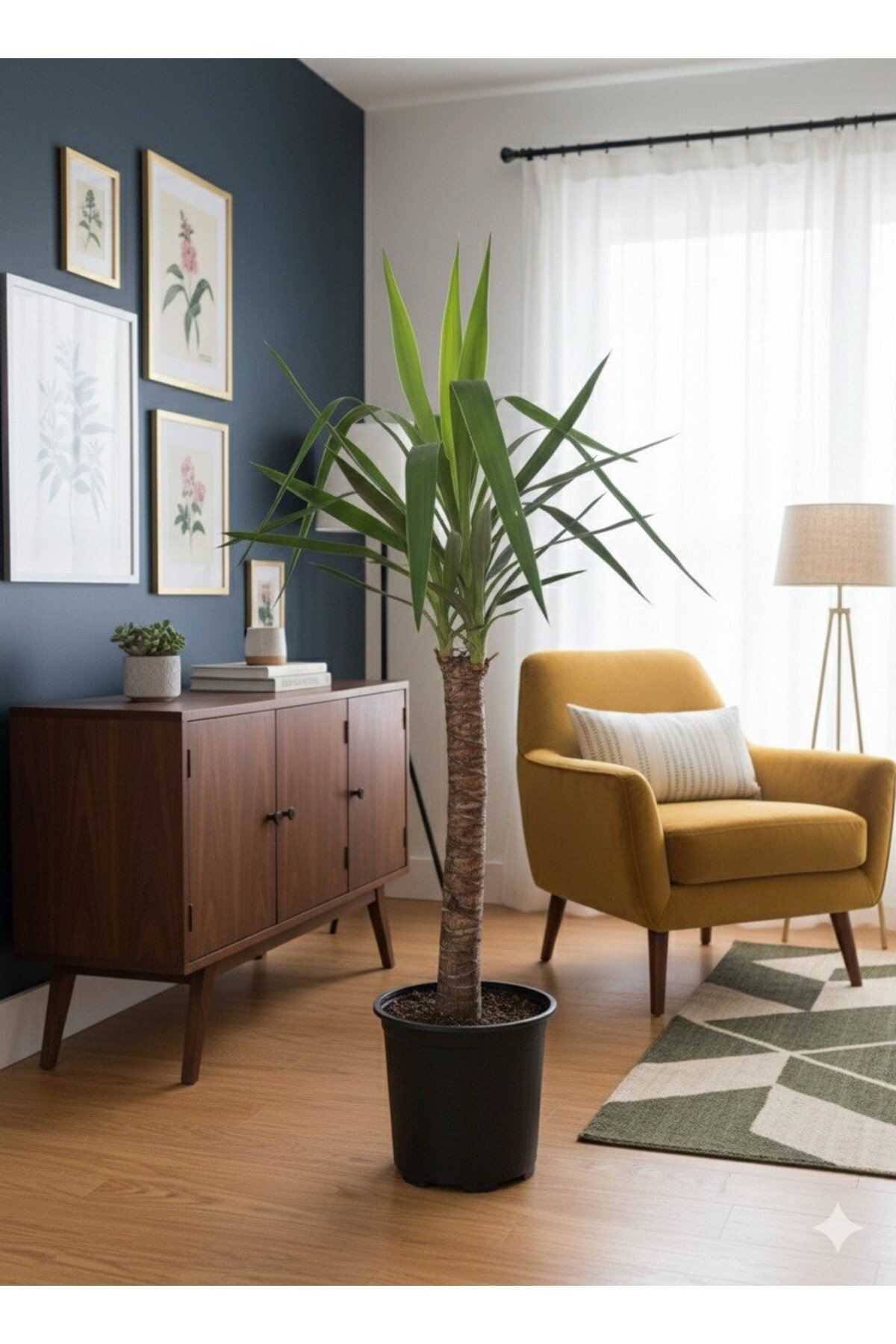 Yucca - Yuka Bitkisi Tek Köklü 100 - 120 cm