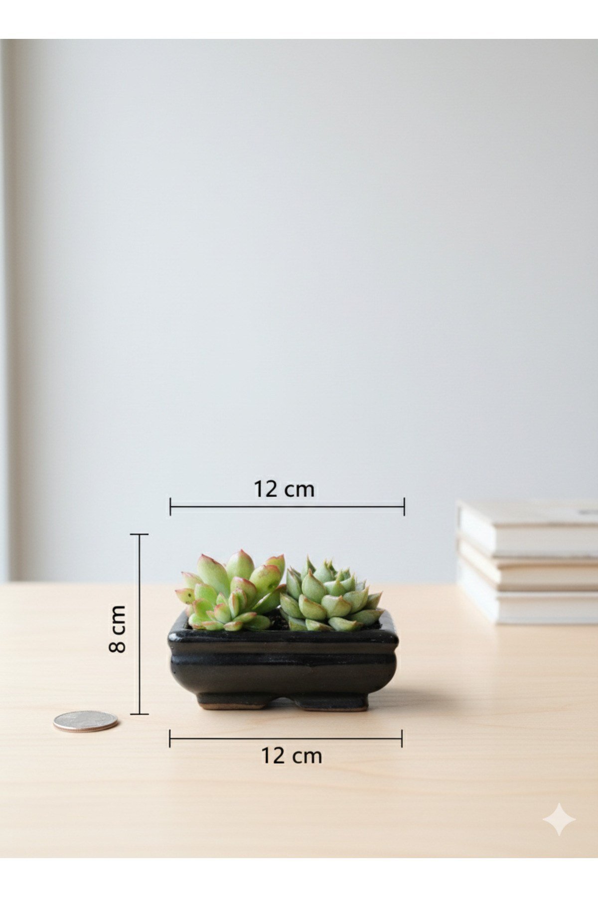 Zen Mini : Çift Sukulent Aranjmanı
