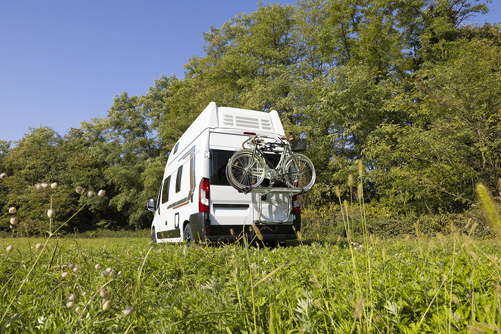 Bike carries for Van Conversion Frame Ducato