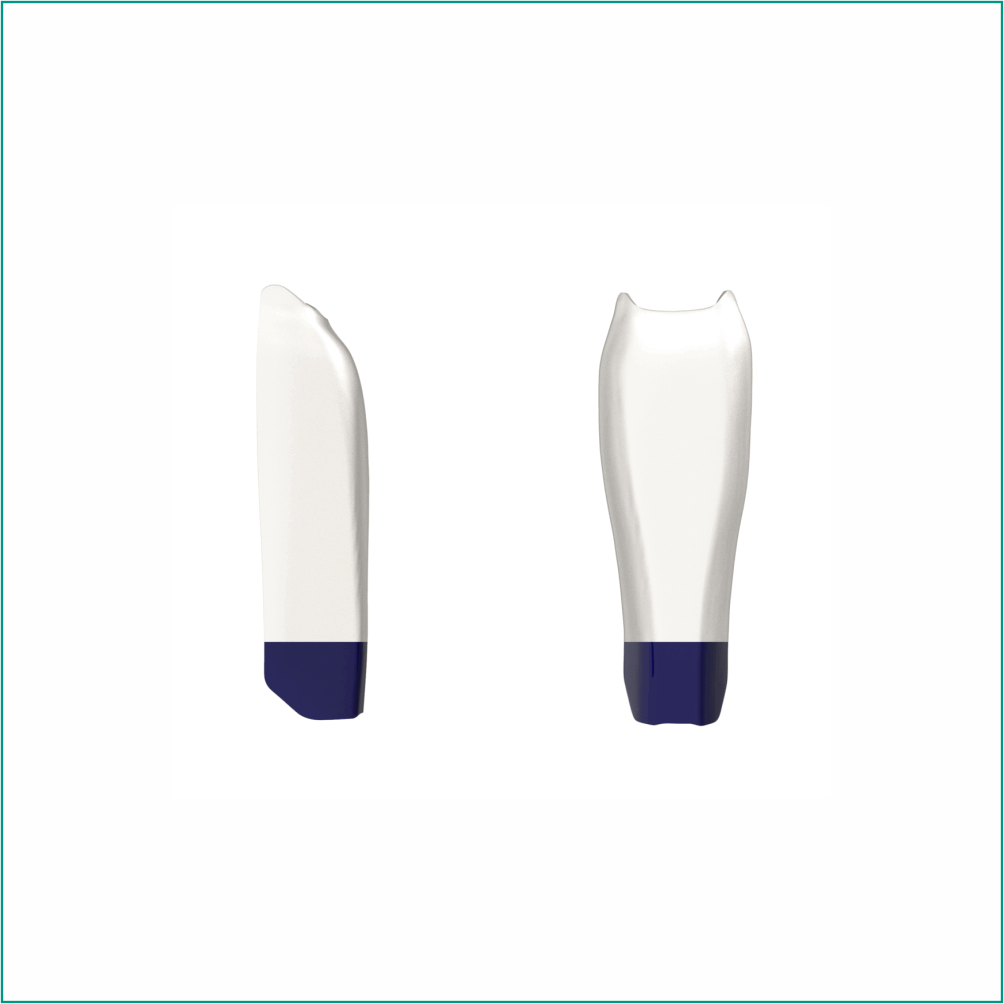 BIOCLEAR Black Triangle (BT) Kit / Matrix Seti