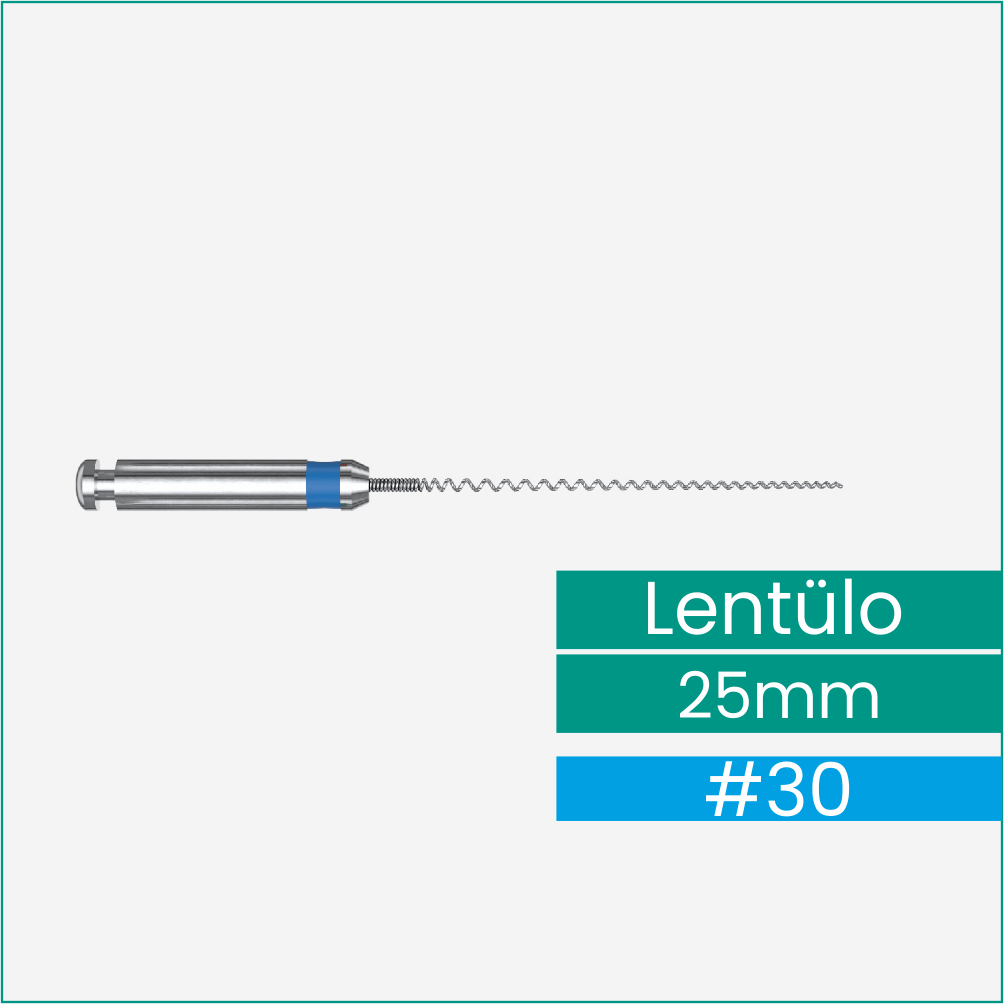PERFECT PASTE CARRIER LENTÜLO 30 No