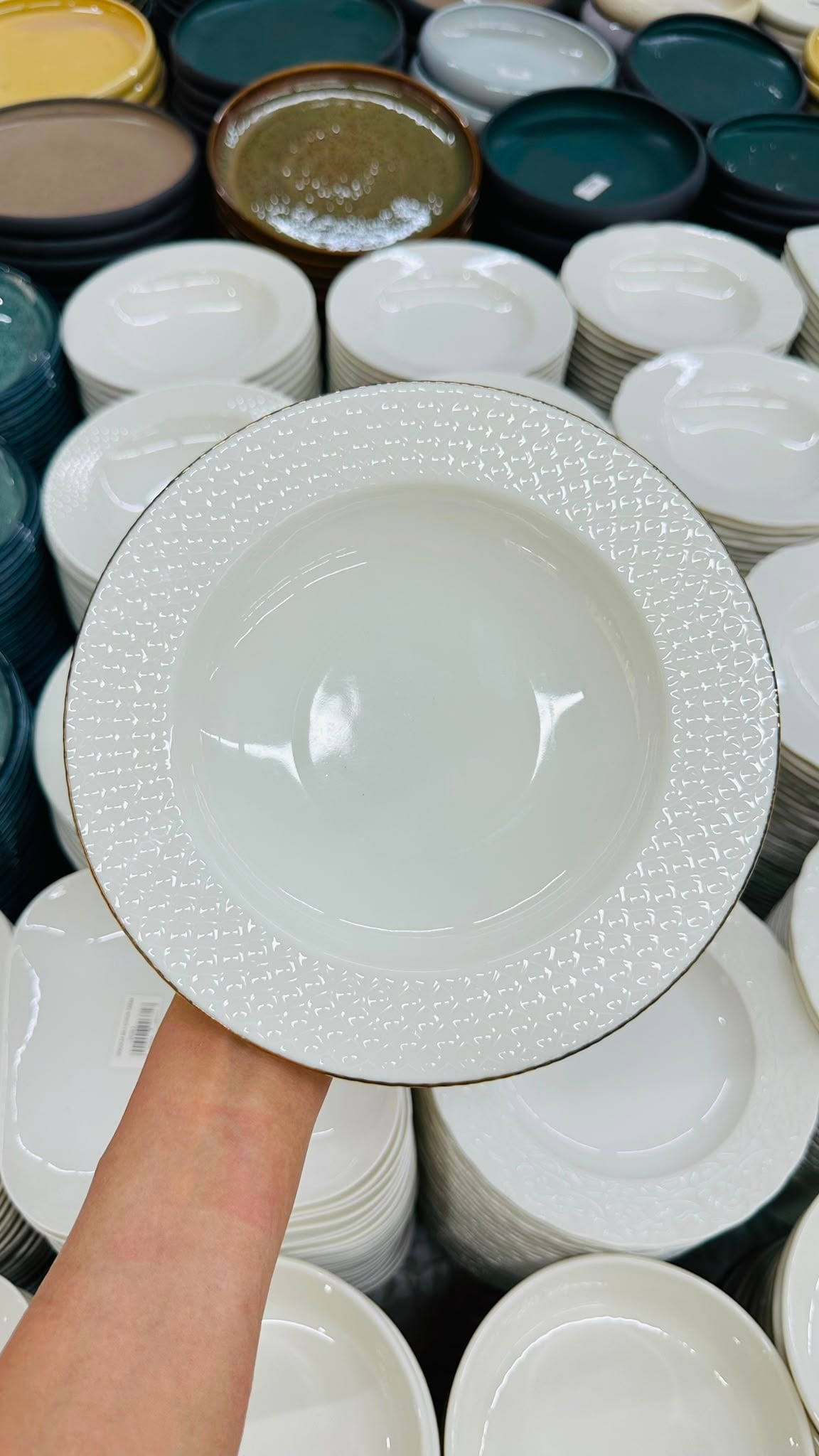 PREMİUM PORSELEN 22 CM ALTIN YALDIZLI 6'LI YEMEK TABAĞI