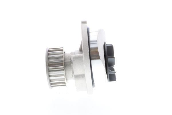 METTELLİ DEVİR DAİM 