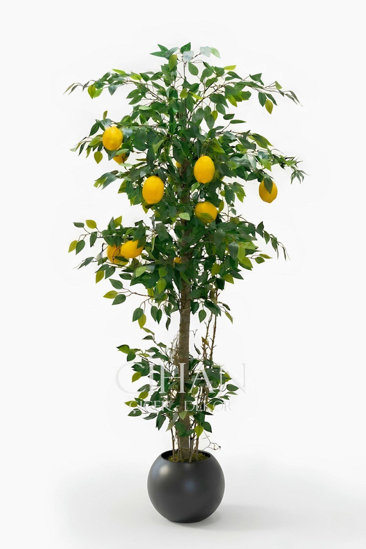 10 Limonlu Yapay Limon Ağacı 180 cm Küre Saksılı