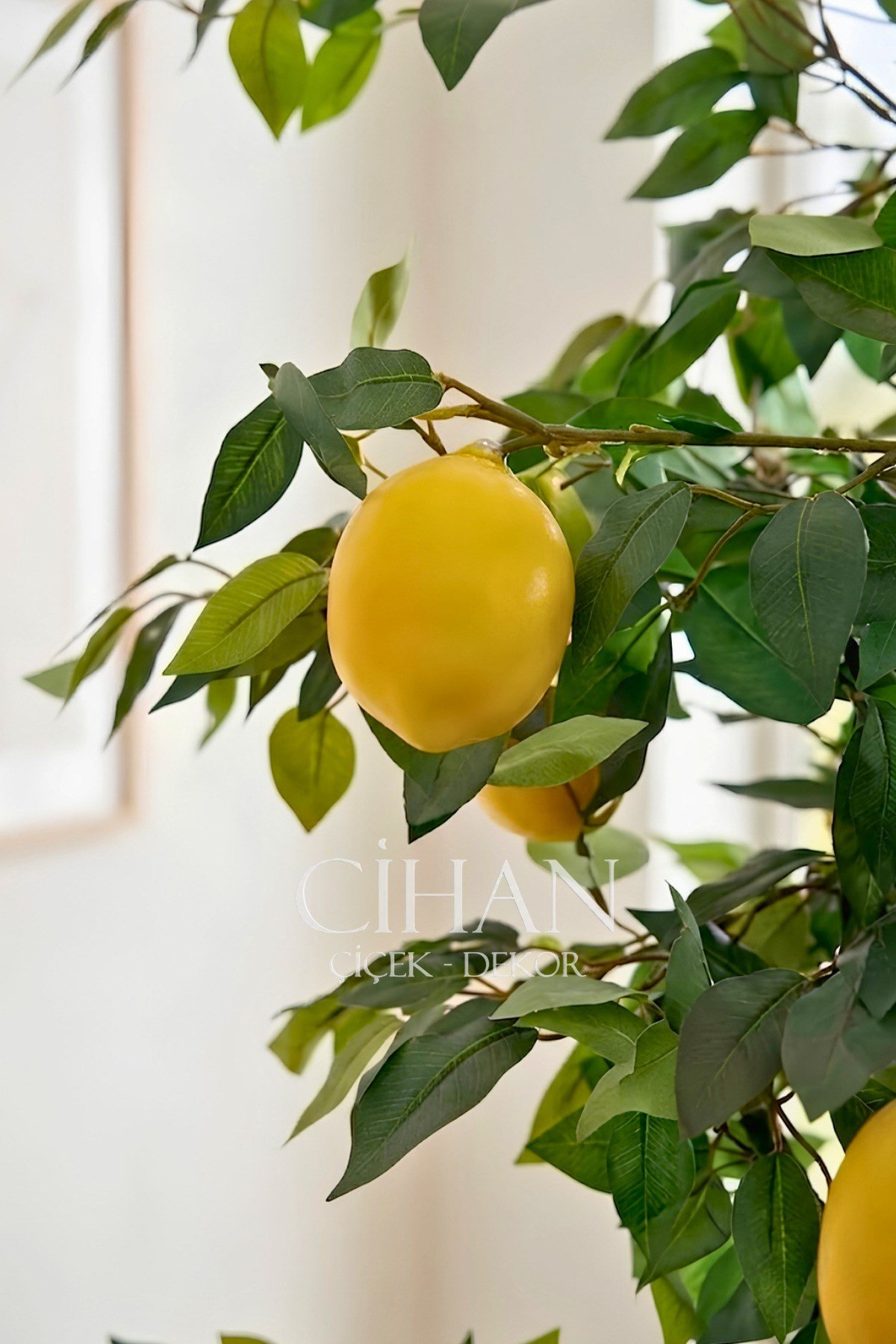 10 Limonlu Yapay Limon Ağacı 180 cm Küre Saksılı