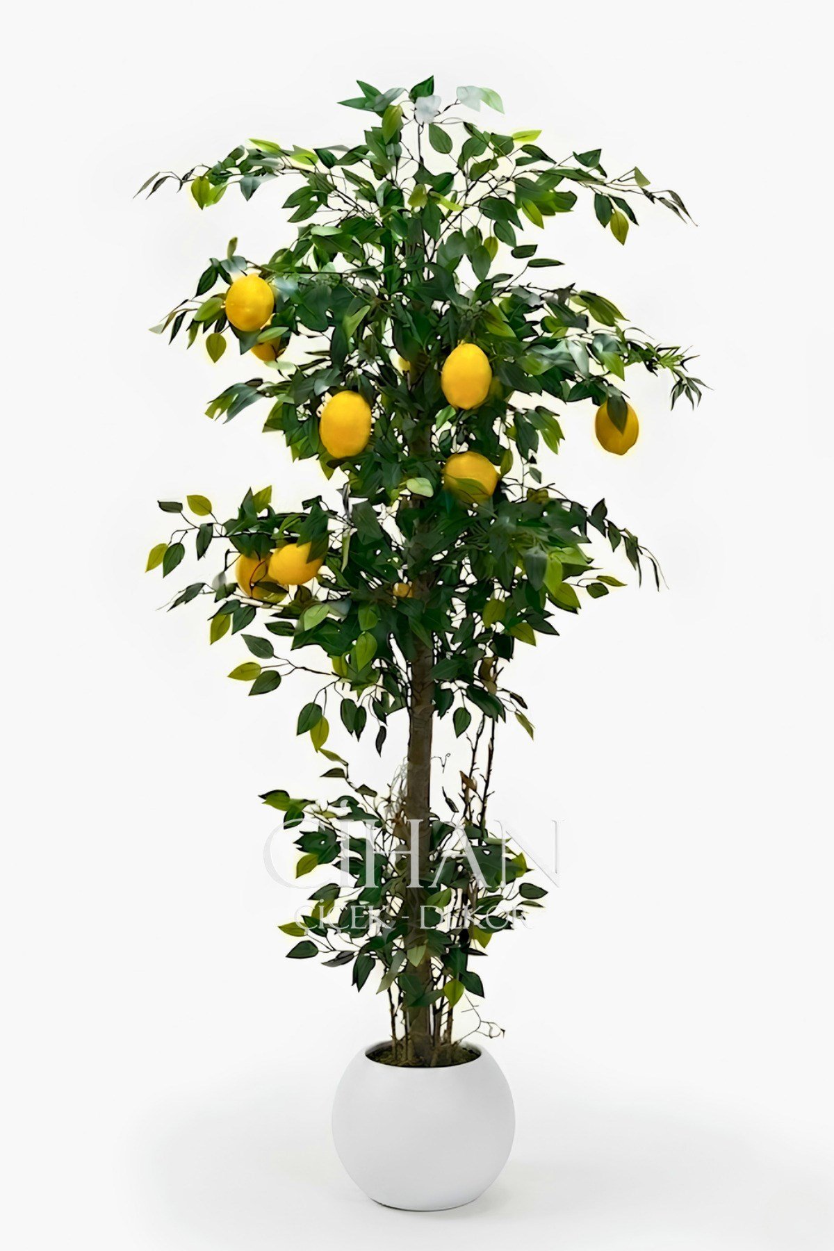 10 Limonlu Yapay Limon Ağacı 180 cm Küre Saksılı