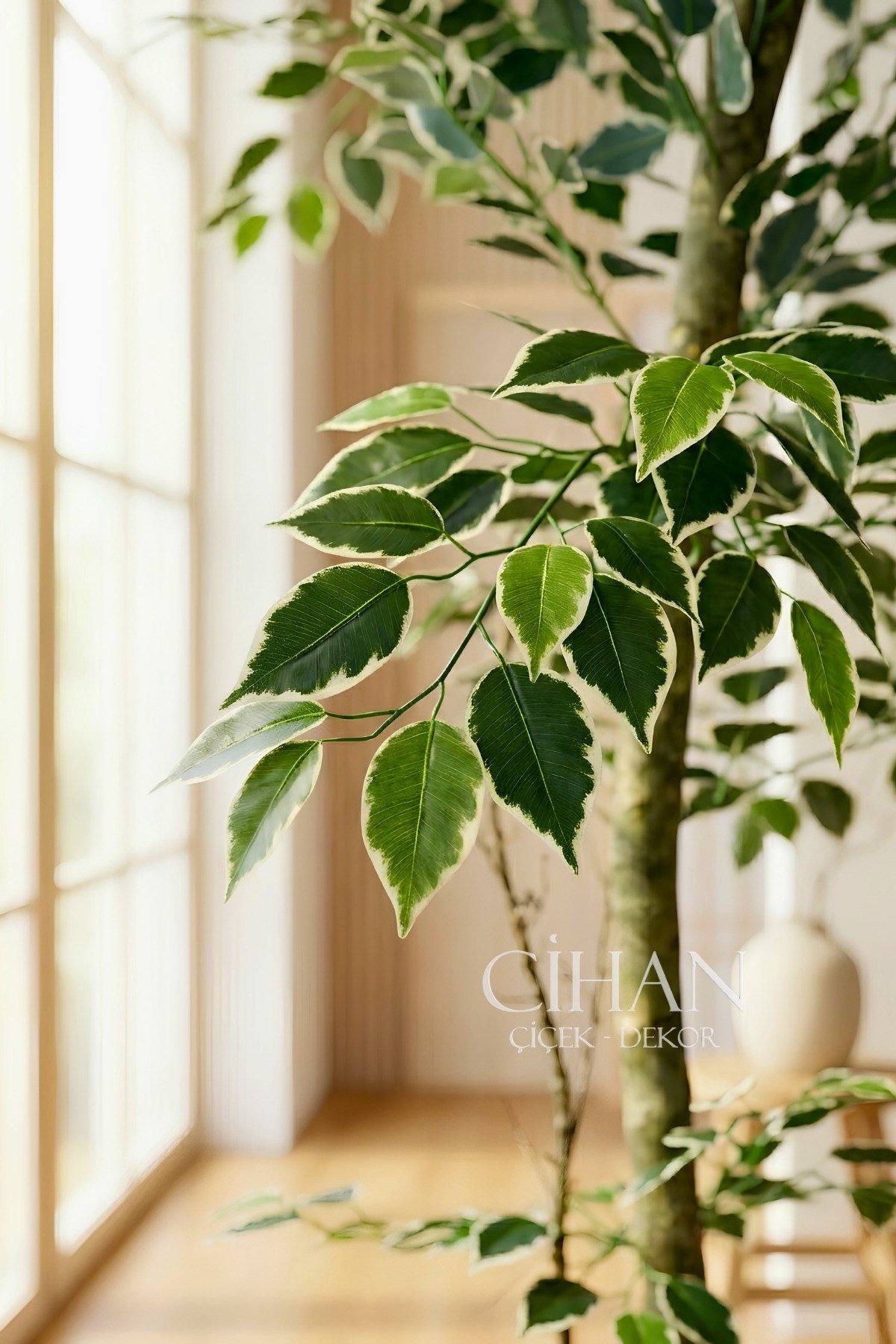 120 cm Yapay Ficus Ağacı Beyaz 27x33 Küre Saksılı