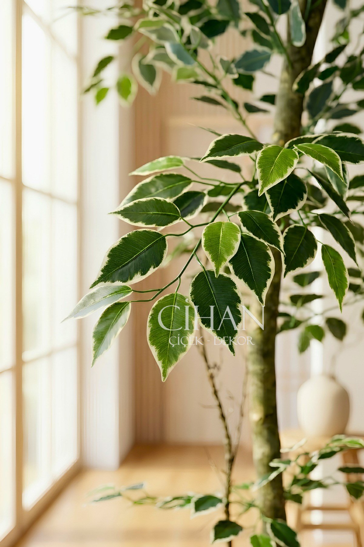 120 cm Yapay Ficus Ağacı Siyah 27x33 Küre Saksılı