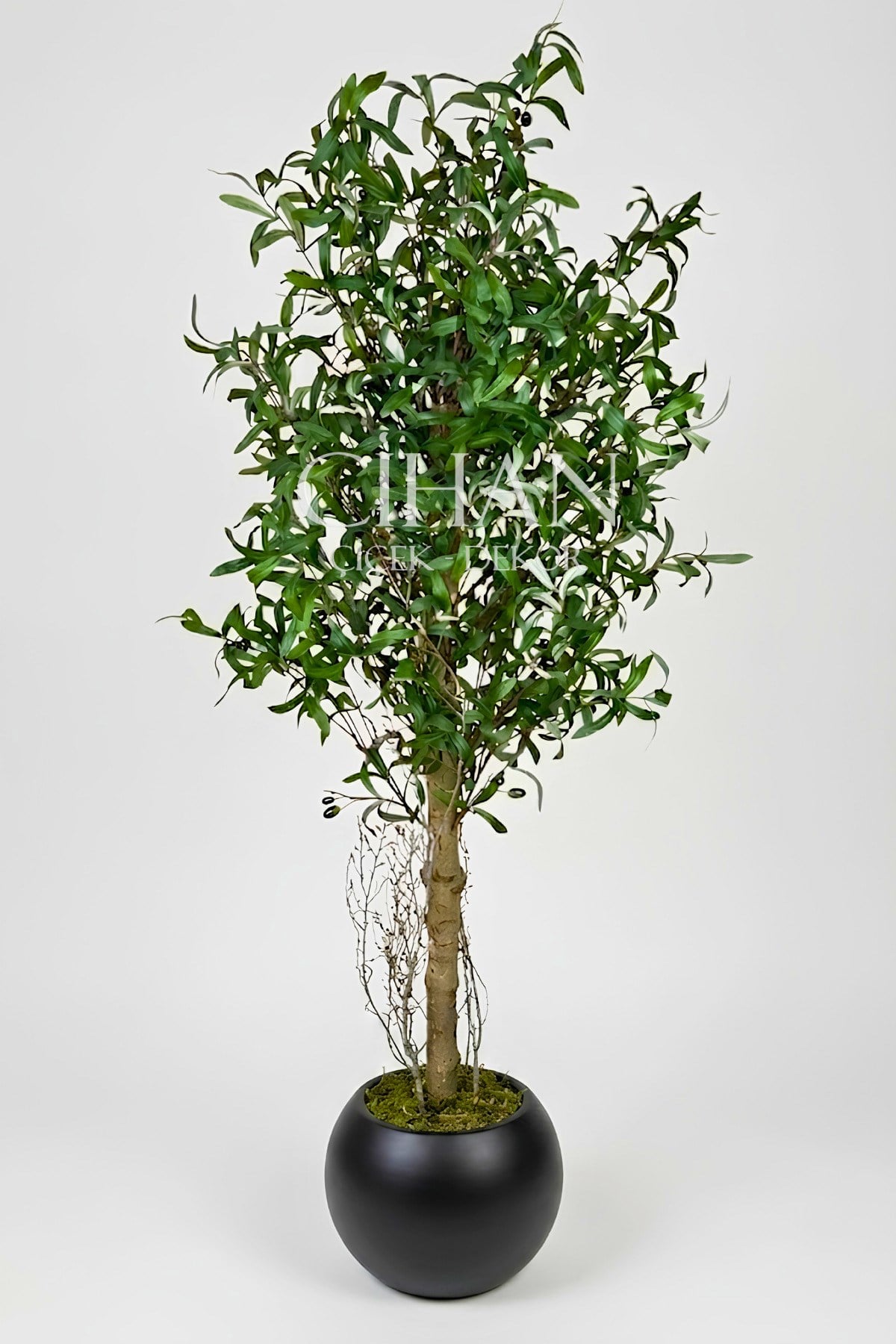 150 cm Lüks Yapay Zeytin Ağacı - 27x33 cm Plastik Küre Saksı