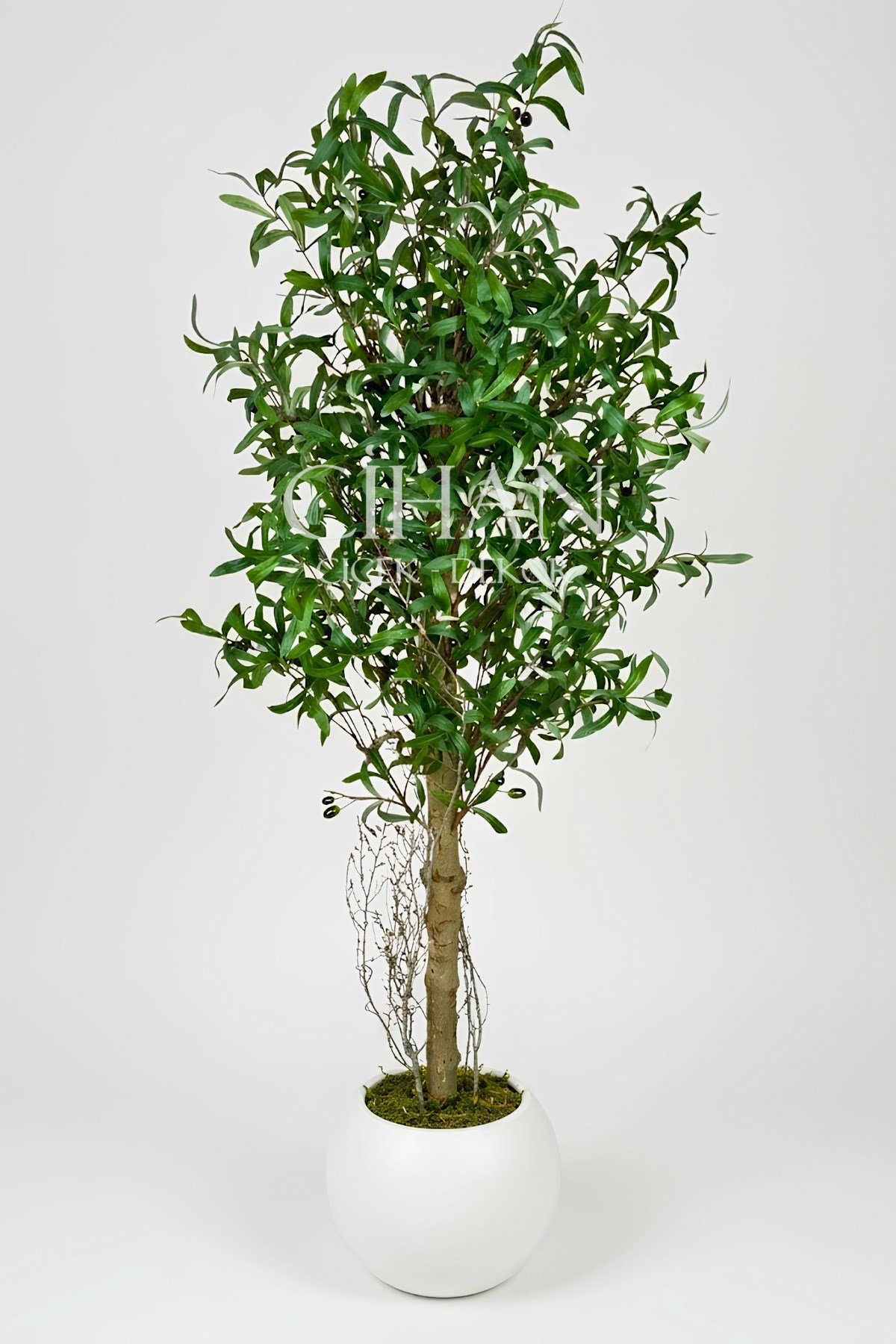 150 cm Lüks Yapay Zeytin Ağacı - 27x33 cm Plastik Küre Saksı