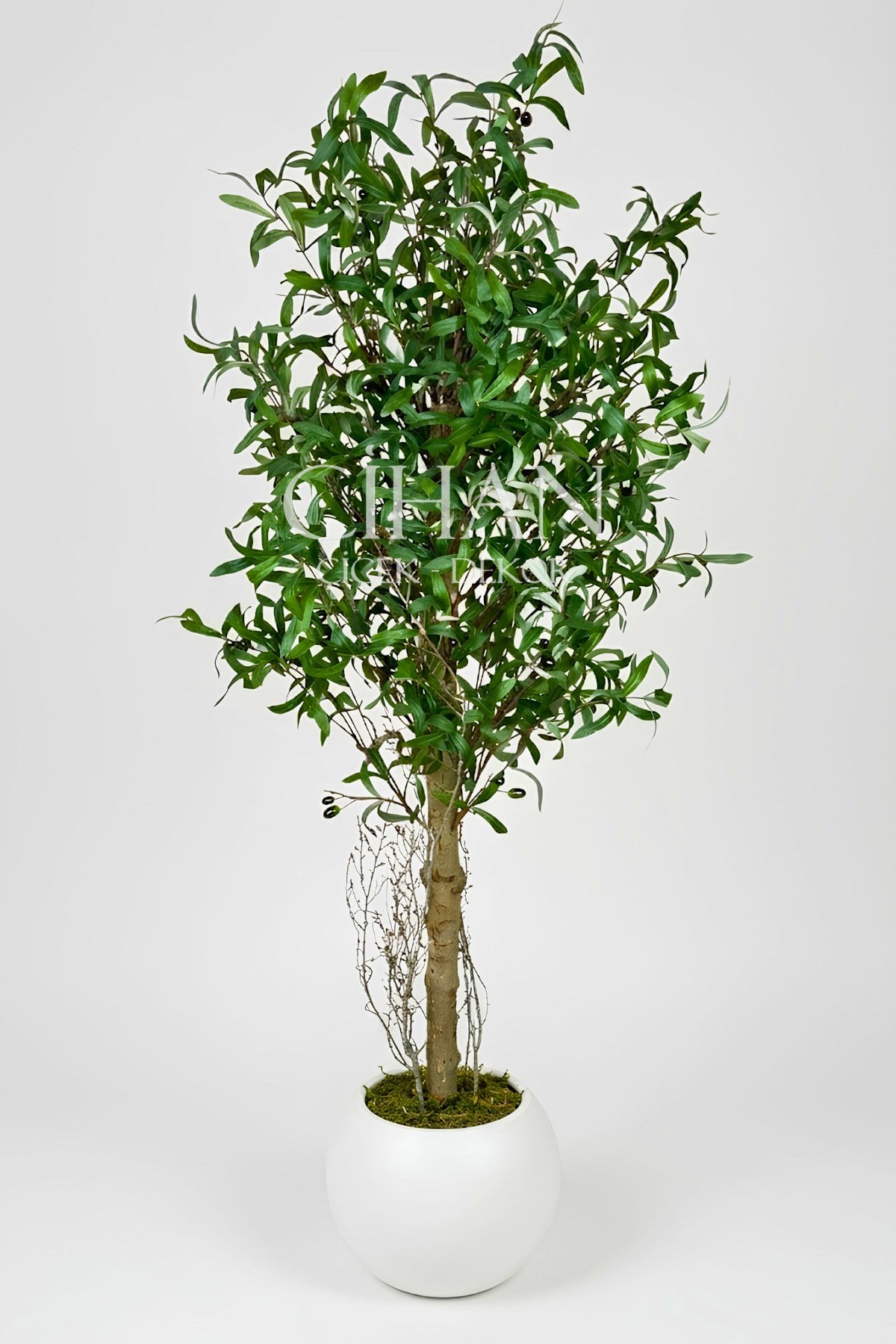 180 cm Lüks Yapay Zeytin Ağacı - 27x33 cm Plastik Küre Saksı