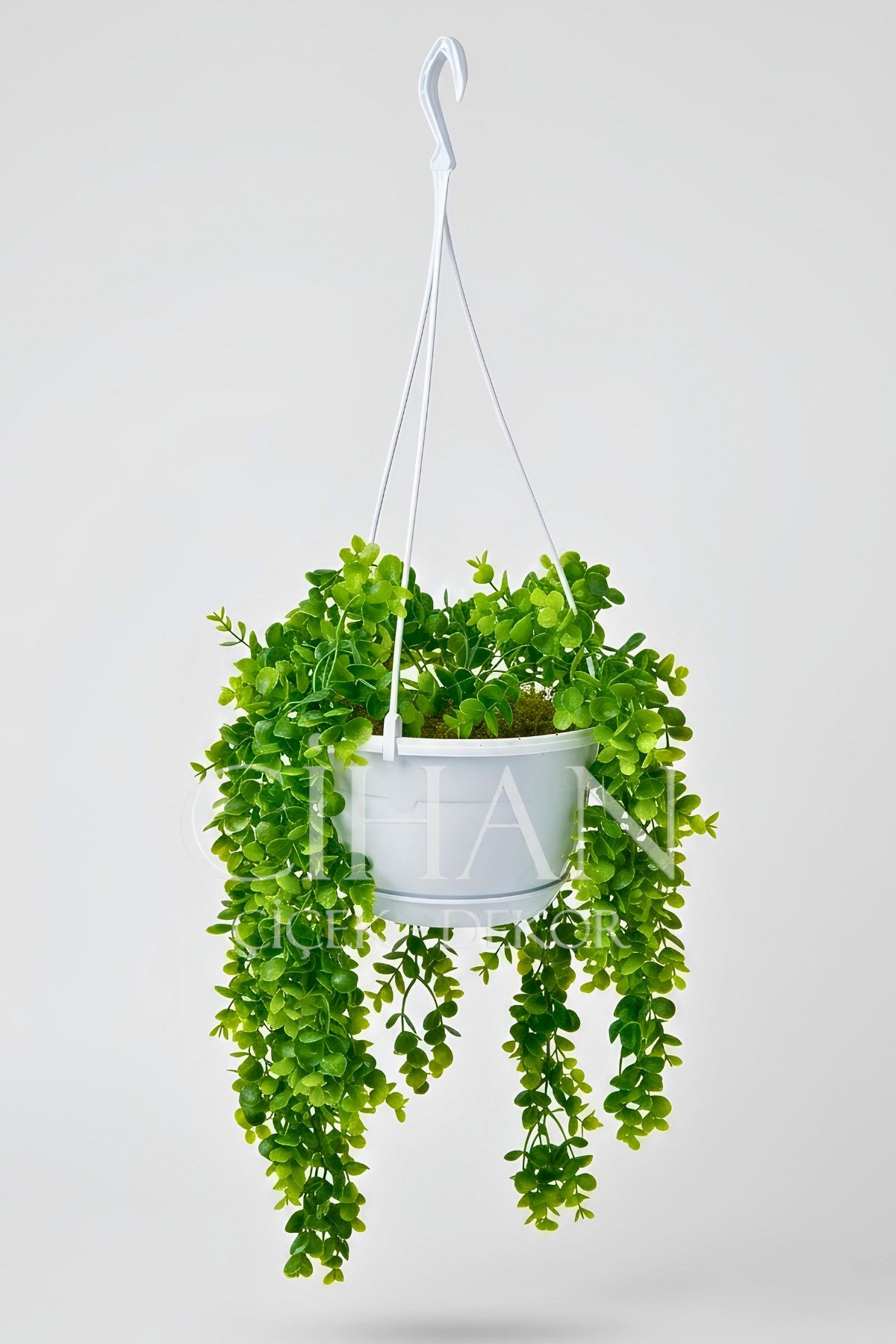 Askılı Saksıda Yapay Sarkan Okaliptus - 90 cm Balkon ve Teras Çiçeği