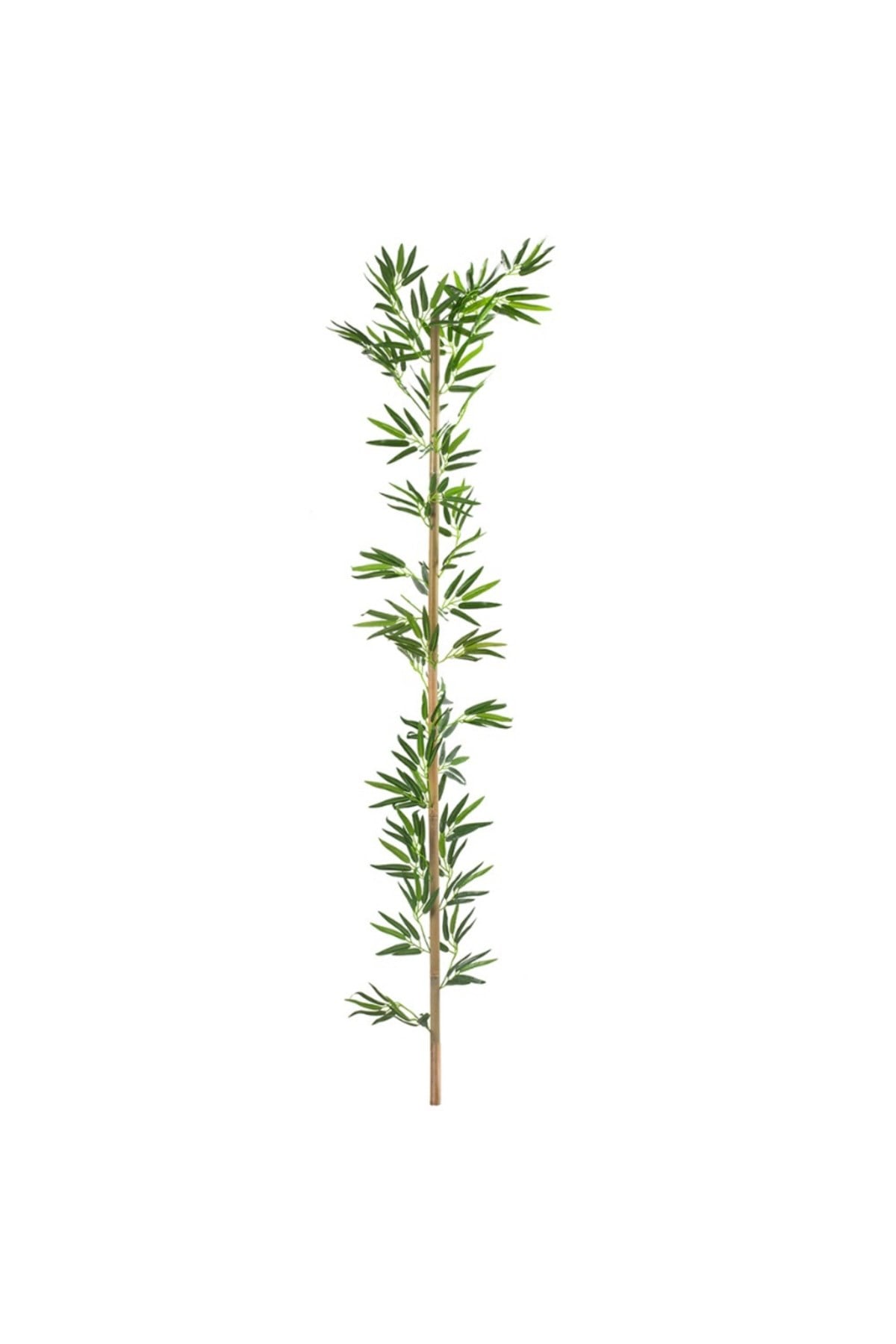Bambu Çubuk 150 Cm