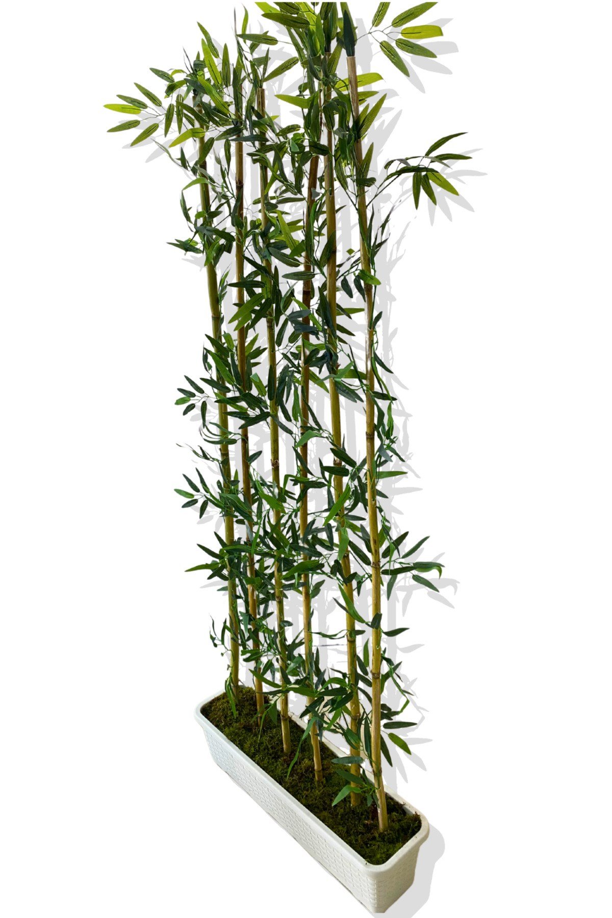 BAMBU SEPERATÖR 175 CM 6 ADET BAMBU 72 CM BEYAZ SAKSI