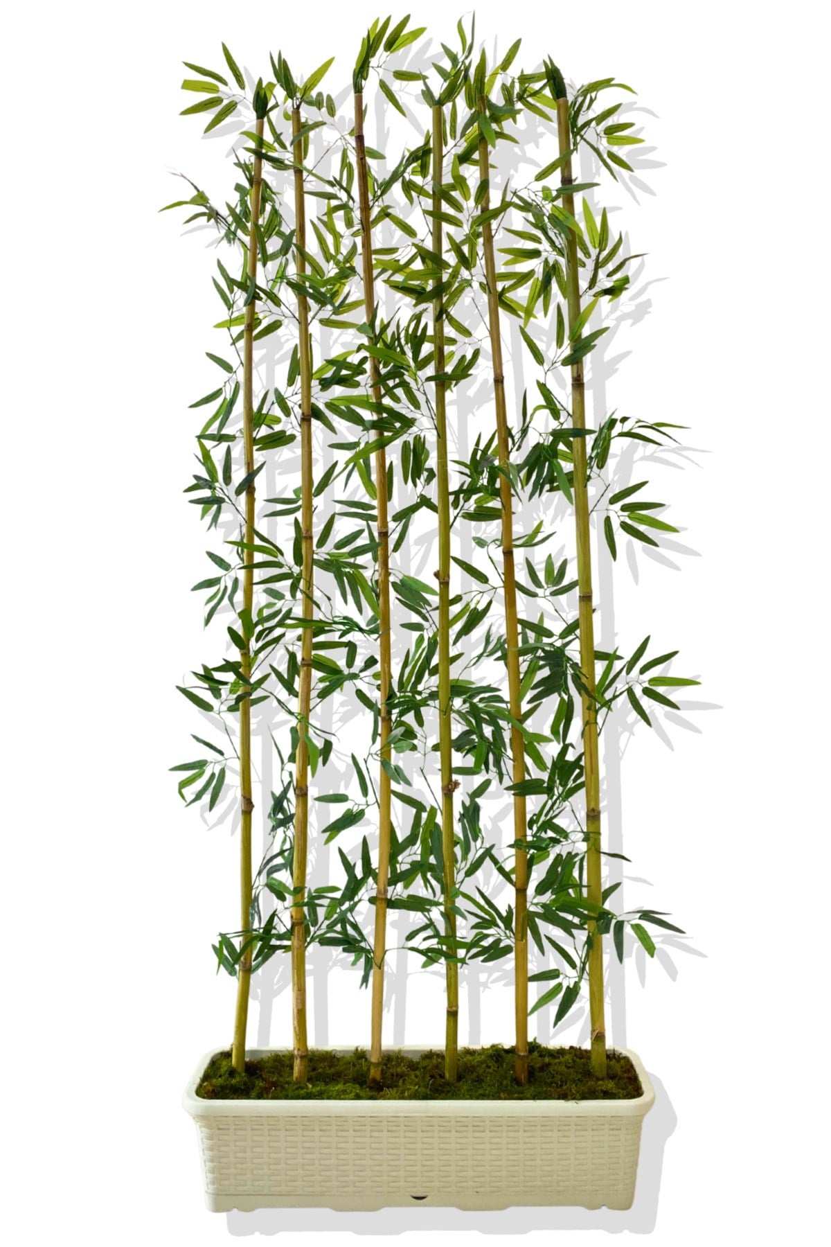 BAMBU SEPERATÖR 175 CM 6 ADET BAMBU 72 CM BEYAZ SAKSI