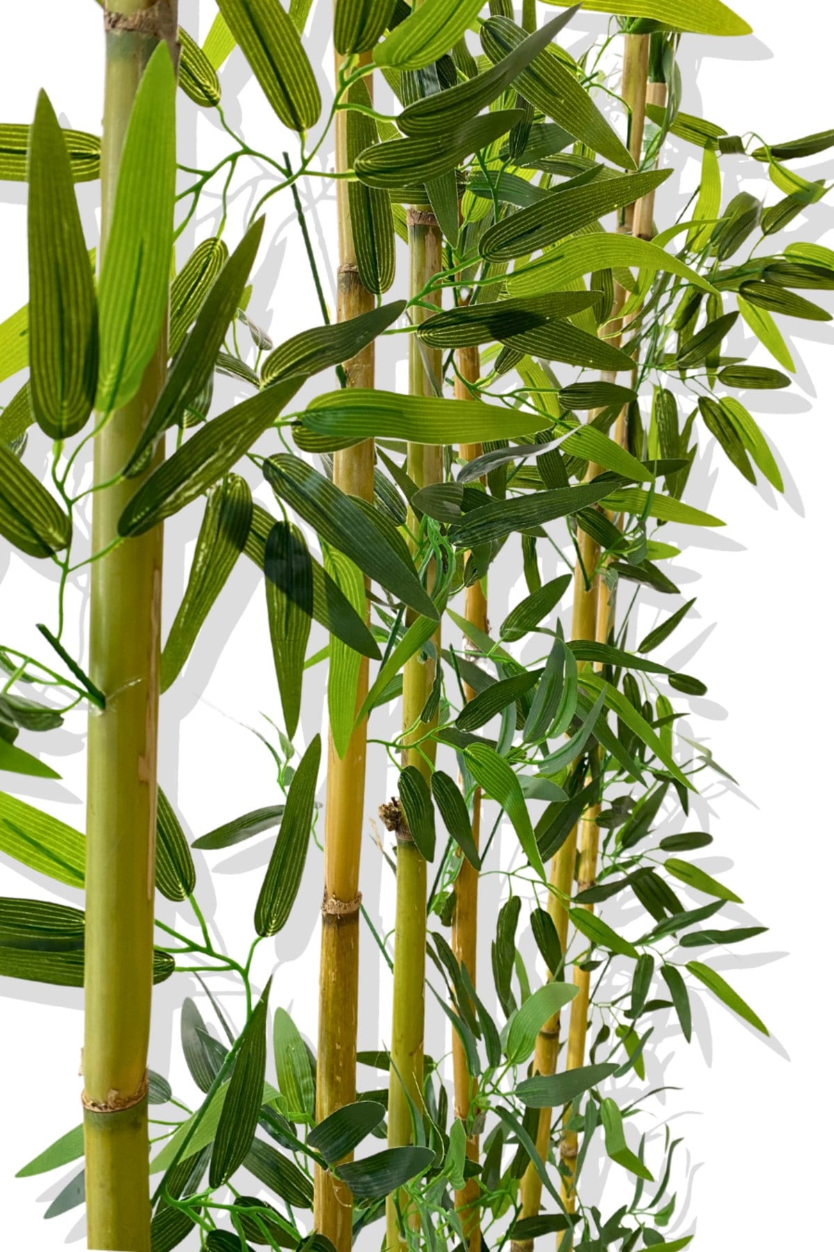 BAMBU SEPERATÖR 175 CM 6 ADET BAMBU 72 CM BEYAZ SAKSI