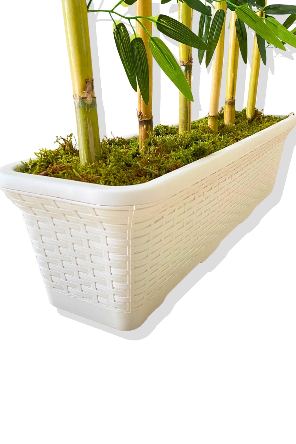 BAMBU SEPERATÖR 175 CM 6 ADET BAMBU 72 CM BEYAZ SAKSI