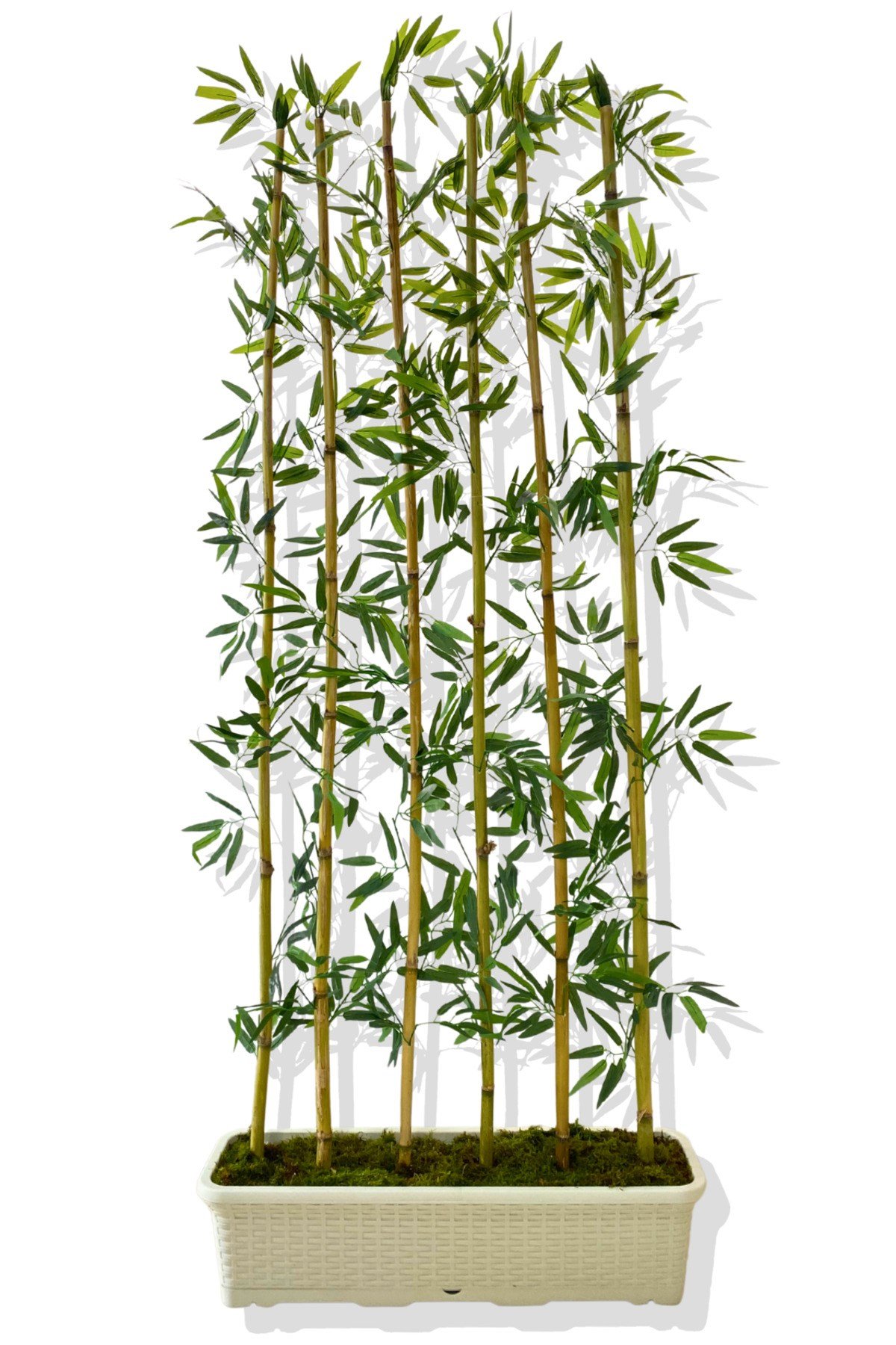 BAMBU SEPERATÖR 175 CM 6 ADET BAMBU 72 CM BEYAZ SAKSI