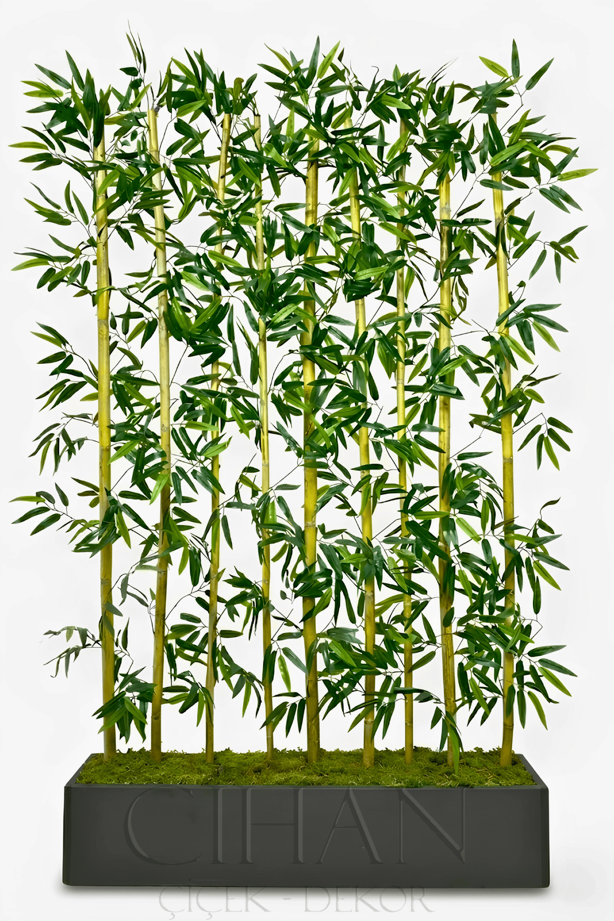 BAMBU SEPERATÖR 180 CM 9 ADET BAMBU 100 CM ANTRASİT SAKSI