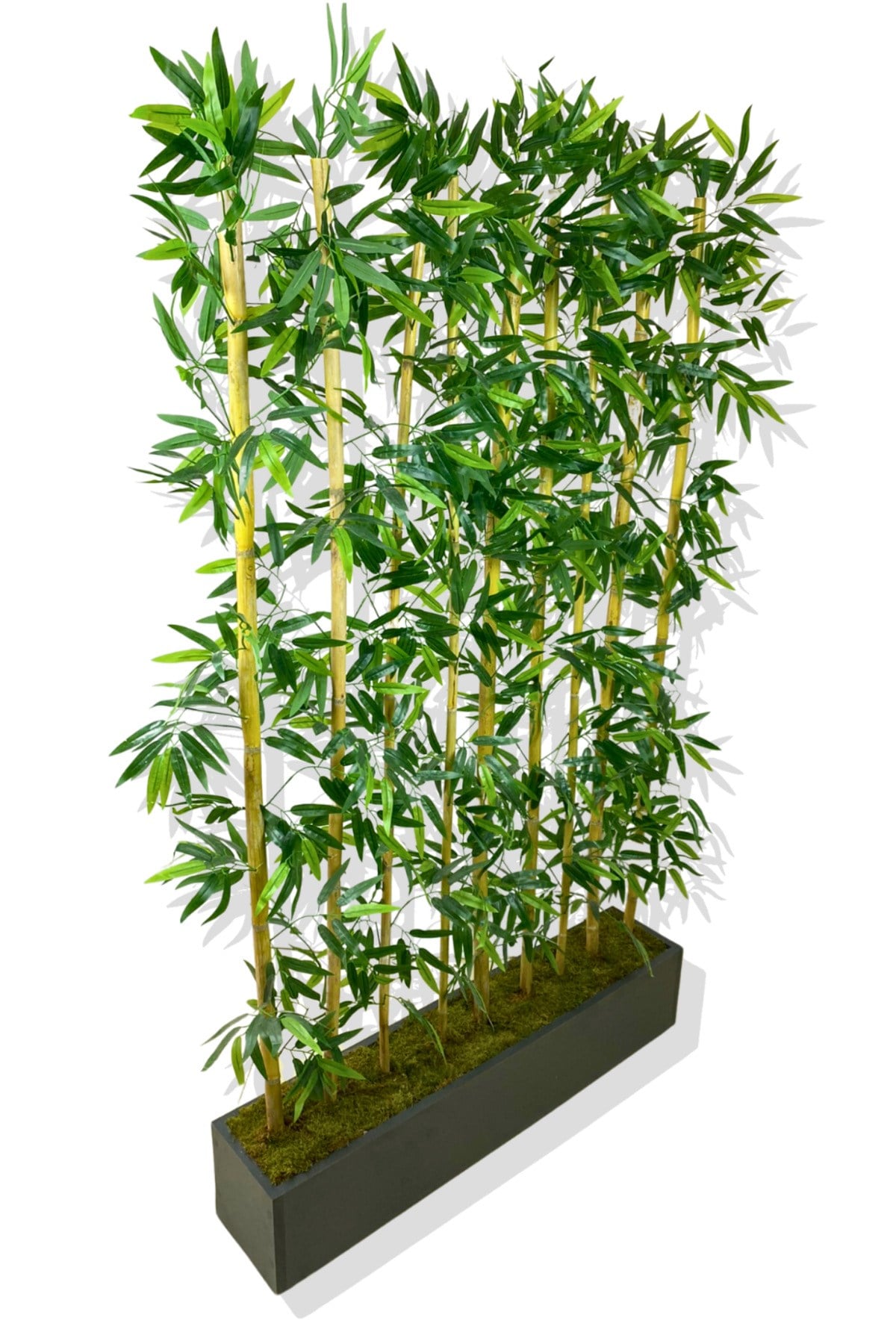 BAMBU SEPERATÖR 180 CM 9 ADET BAMBU 100 CM ANTRASİT SAKSI