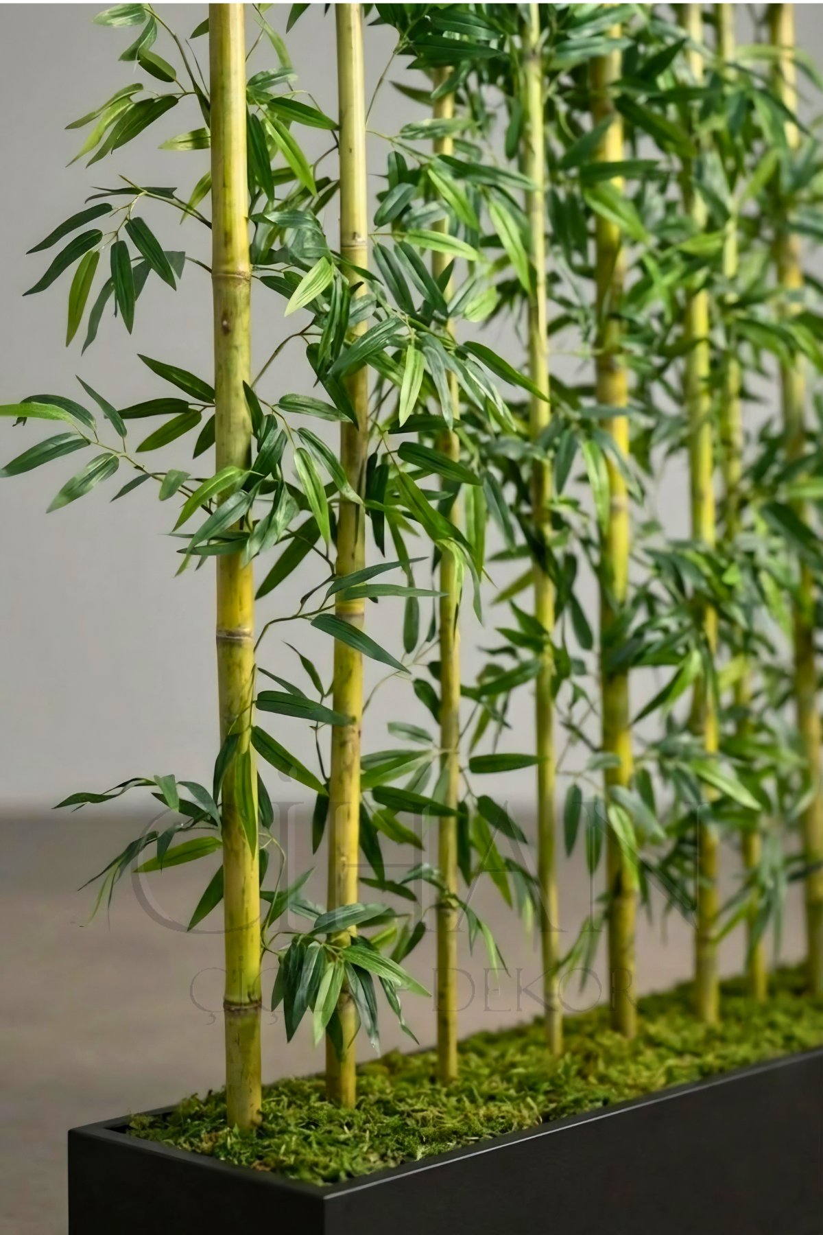 BAMBU SEPERATÖR 180 CM 9 ADET BAMBU 100 CM ANTRASİT SAKSI