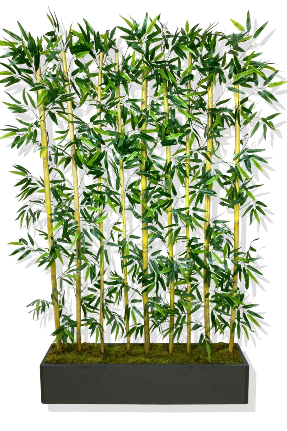 BAMBU SEPERATÖR 200 CM 9 ADET BAMBU 100 CM ANTRASİT SAKSI