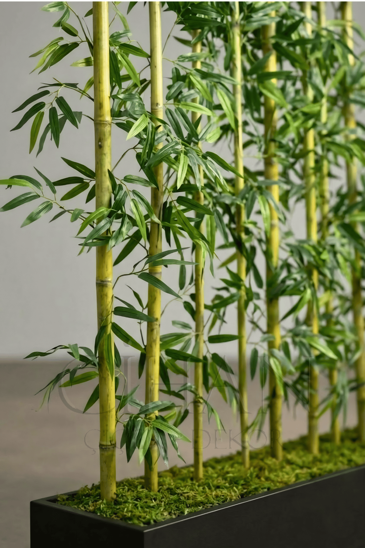 BAMBU SEPERATÖR 200 CM 9 ADET BAMBU 100 CM ANTRASİT SAKSI