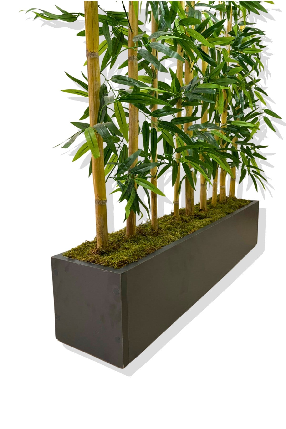 BAMBU SEPERATÖR 200 CM 9 ADET BAMBU 100 CM ANTRASİT SAKSI