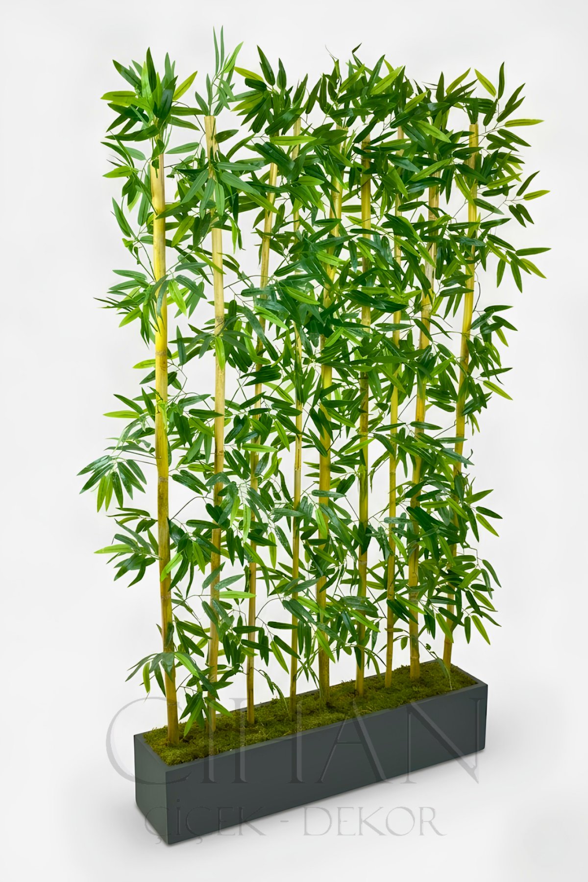 BAMBU SEPERATÖR 200 CM 9 ADET BAMBU 100 CM ANTRASİT SAKSI