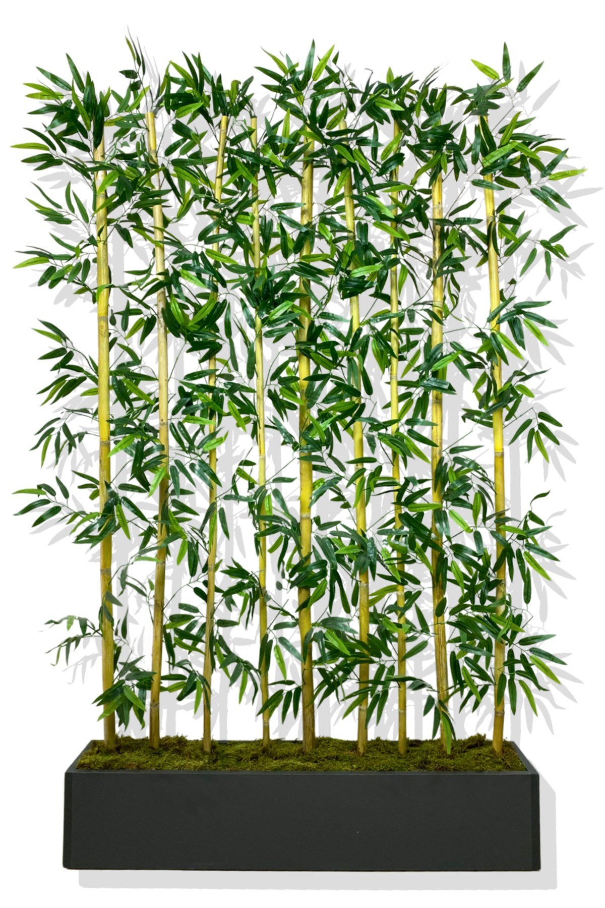 BAMBU SEPERATÖR 200 CM 9 ADET BAMBU 100 CM ANTRASİT SAKSI