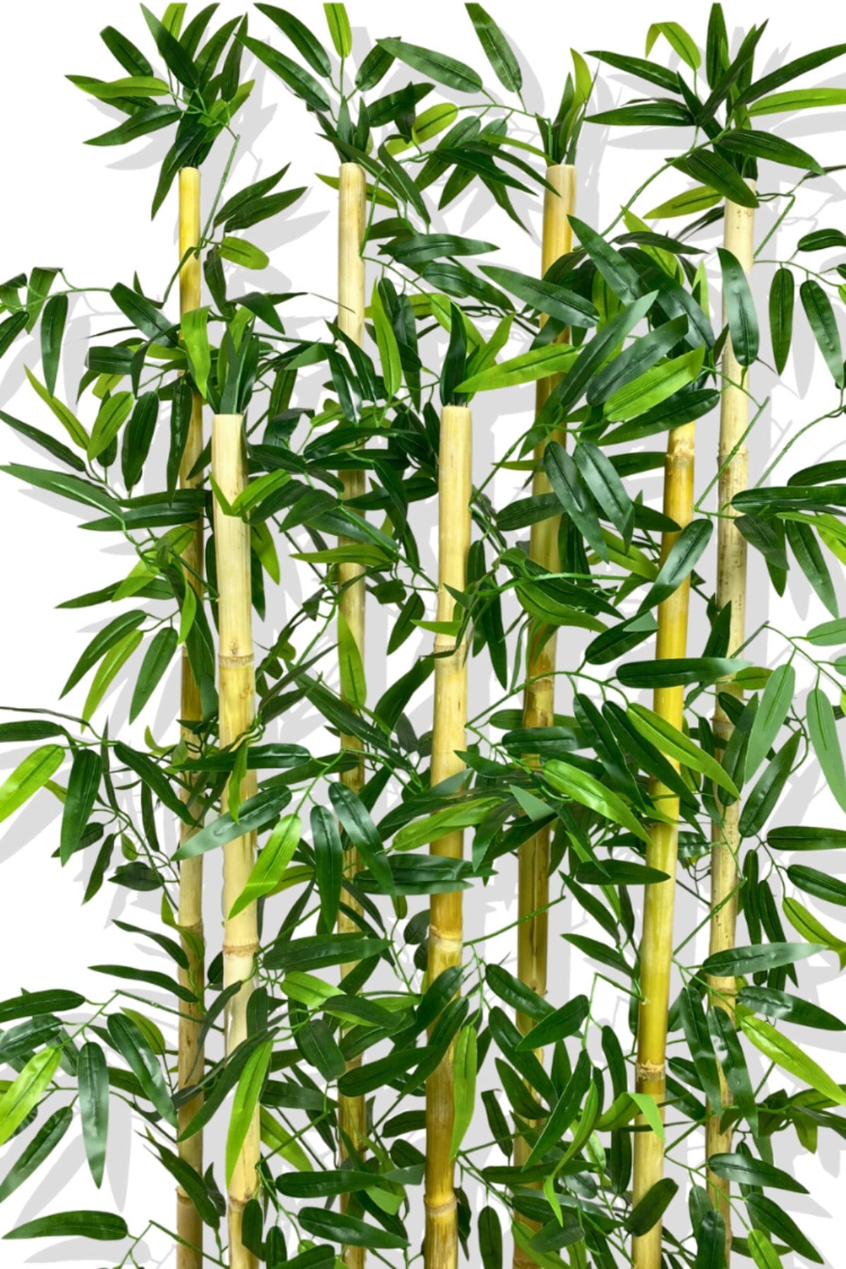 Bambu Seperatör 7 Adet Bambu Yoğun Yaprak 120 Cm ( 54x20x120)