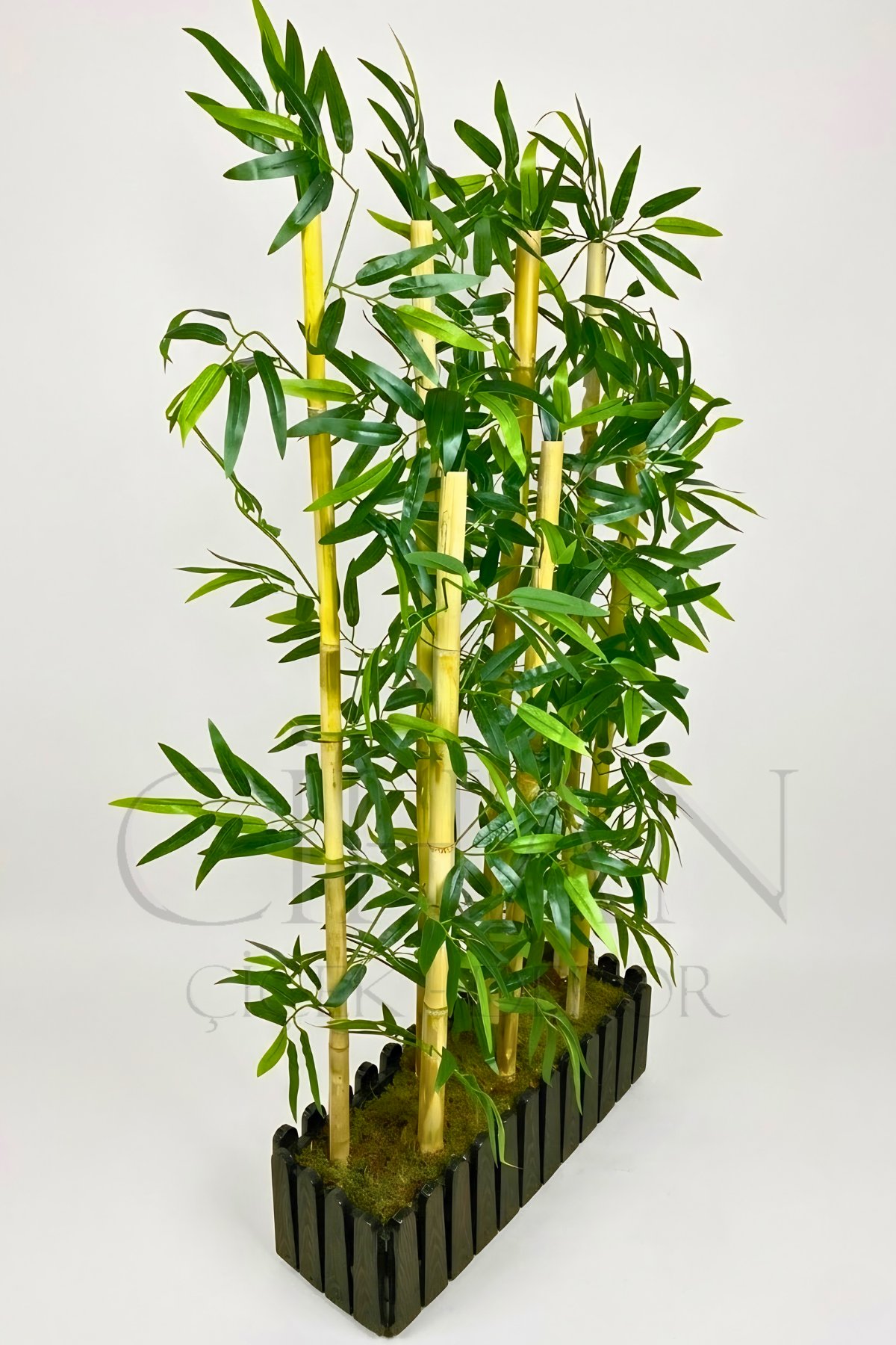 Bambu Seperatör 7 Adet Bambu Yoğun Yaprak 120 Cm ( 54x20x120)