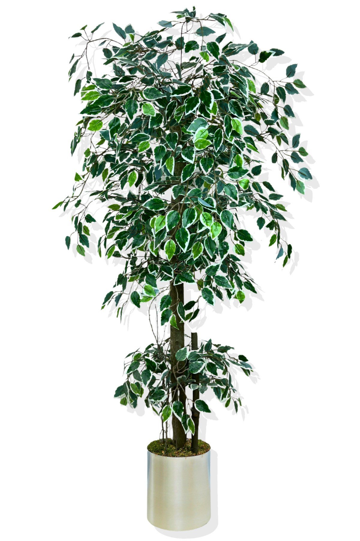 Benjamin Starlight Beyaz-Yeşil 175 Cm Yapay Ağaç Galvaniz Saksı