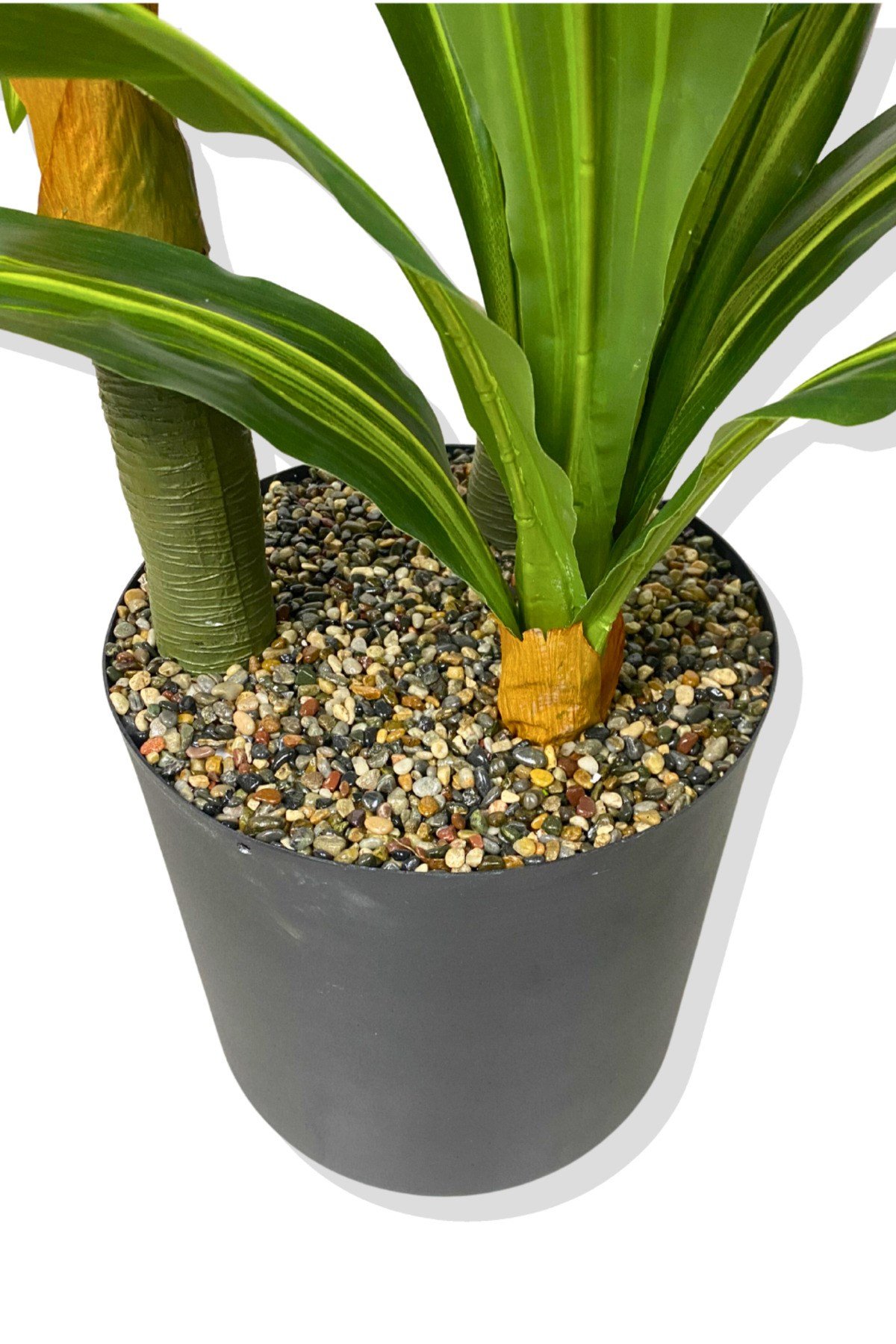 DRACAENA FRAGRANS 3 GÖVDE YAPAY AĞAÇ 160 CM GOLD KEMERLİ BEYAZ 30X30 SAKSI