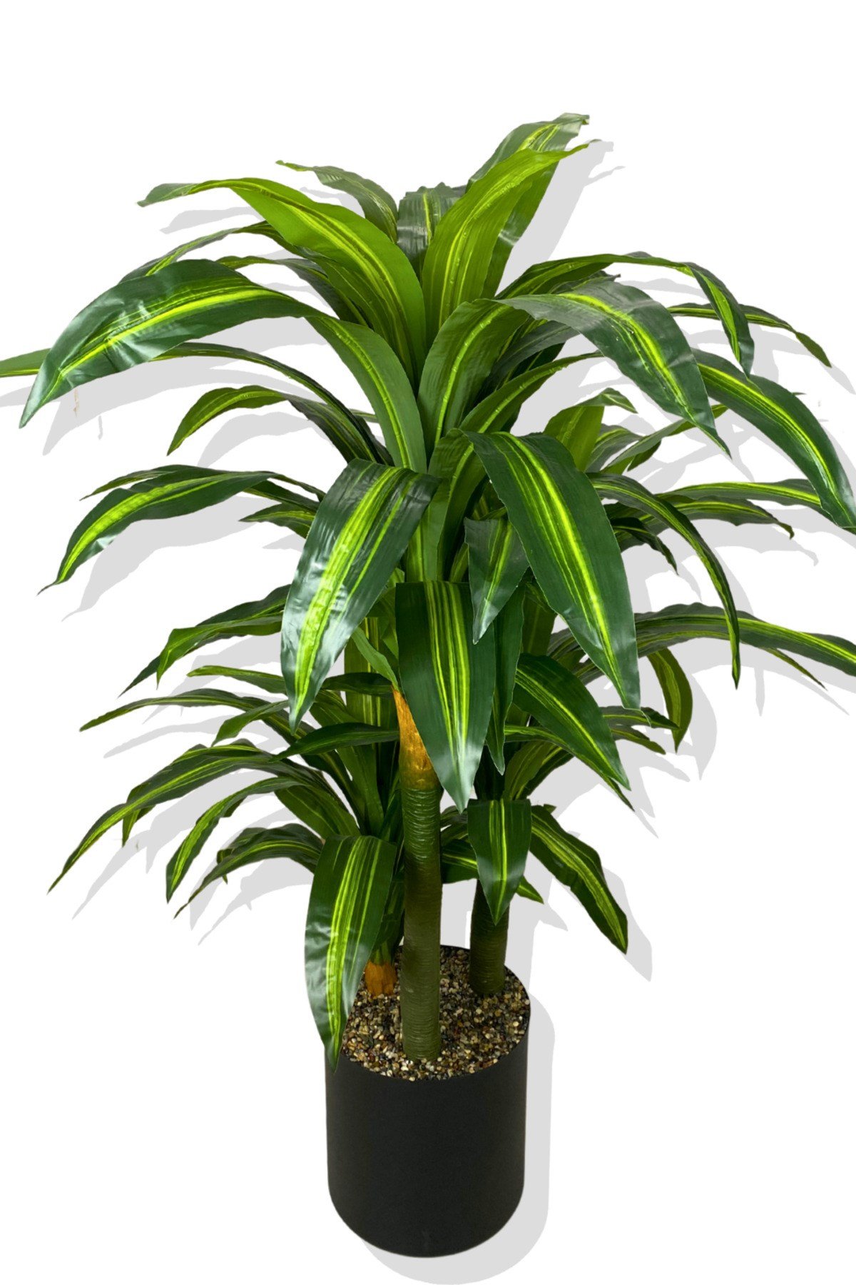 DRACAENA FRAGRANS 3 GÖVDE YAPAY AĞAÇ 160 CM GOLD KEMERLİ BEYAZ 30X30 SAKSI