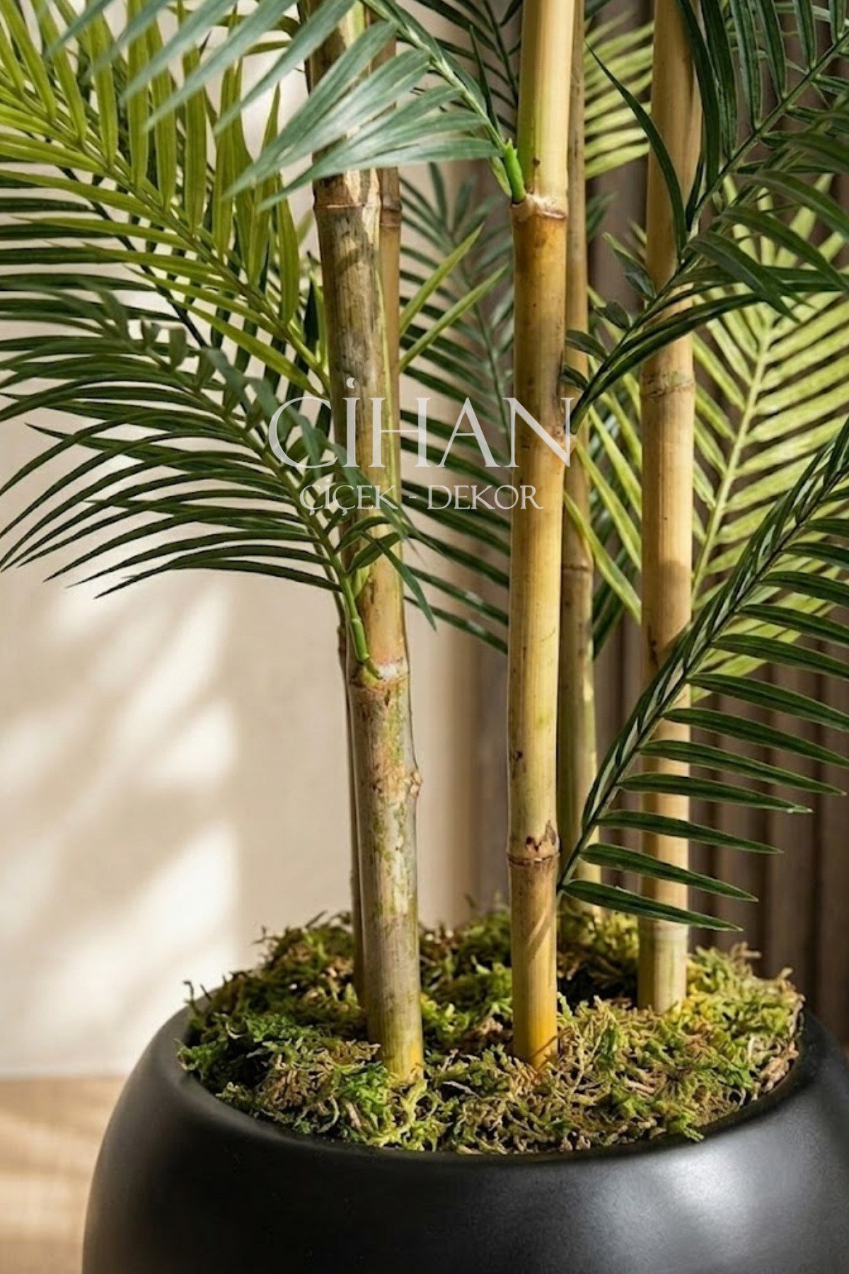 Küre Saksılı 170 cm Yapay Bambu Areka Ağacı
