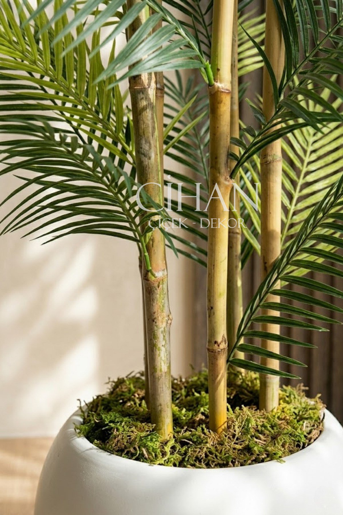 Küre Saksılı 170 cm Yapay Bambu Areka Ağacı