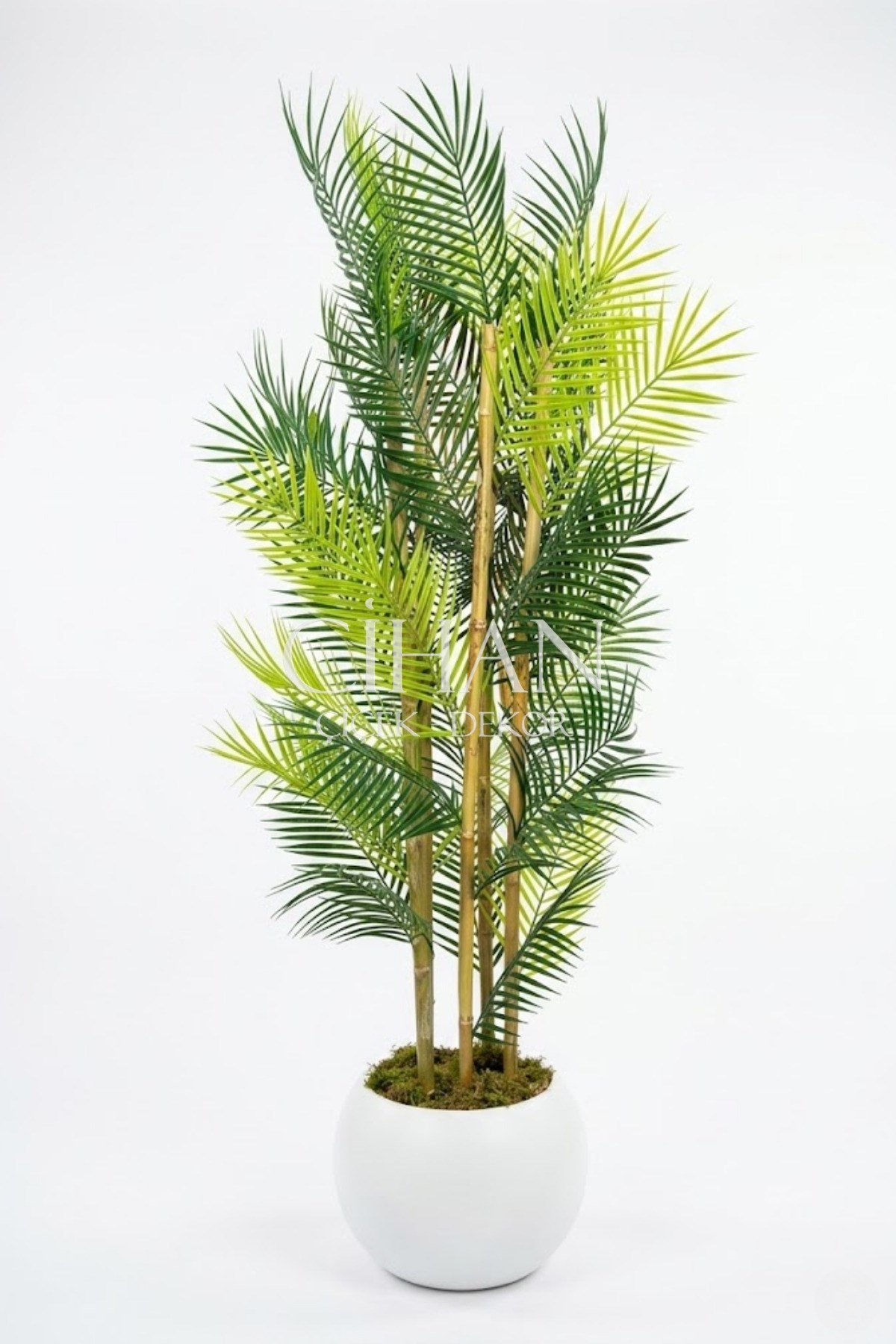 Küre Saksılı 170 cm Yapay Bambu Areka Ağacı