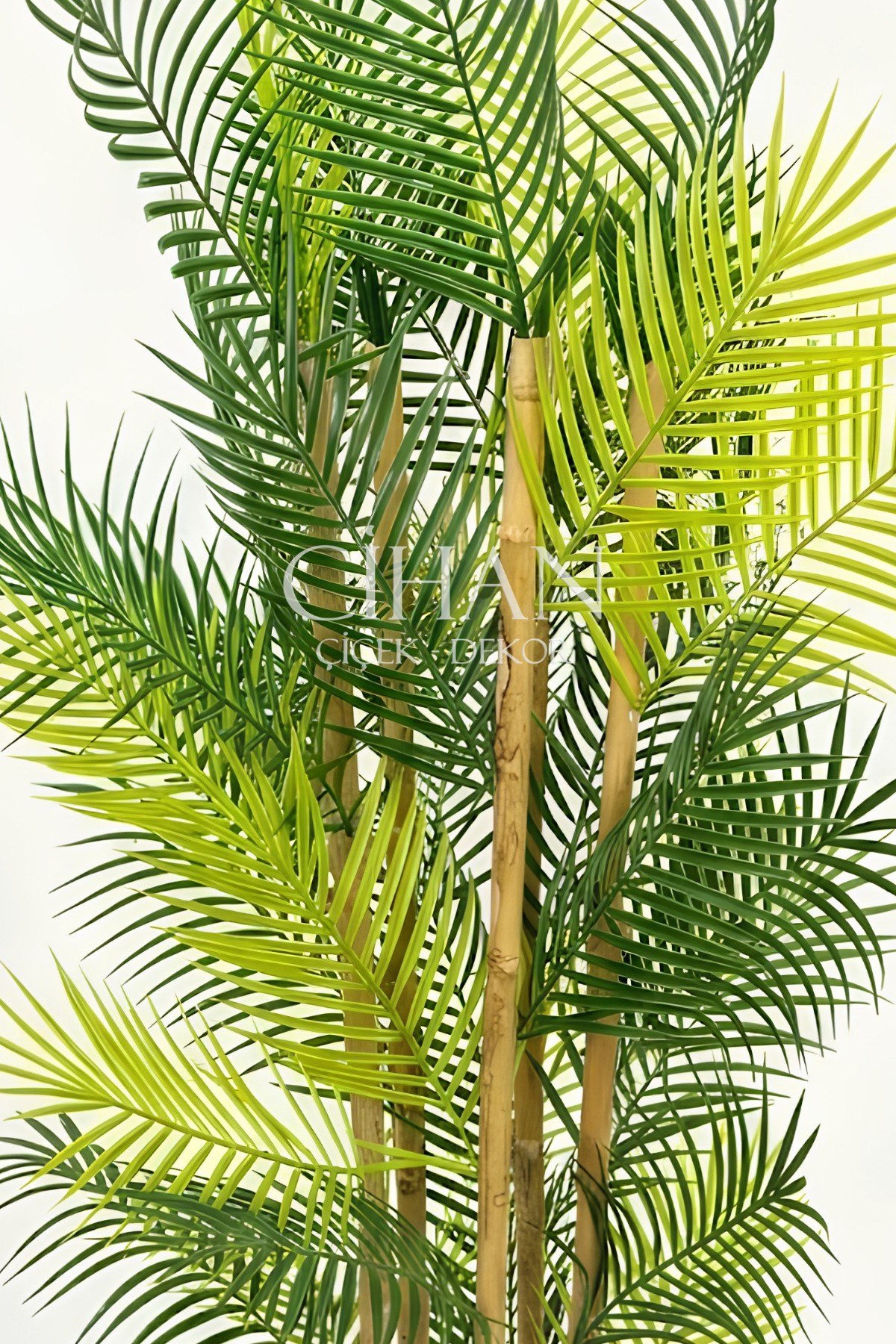 Küre Saksılı 170 cm Yapay Bambu Areka Ağacı