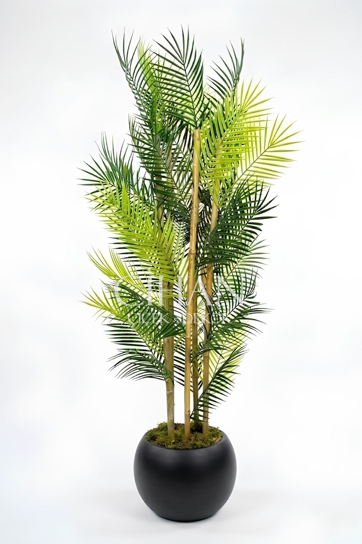 Küre Saksılı 170 cm Yapay Bambu Areka Ağacı