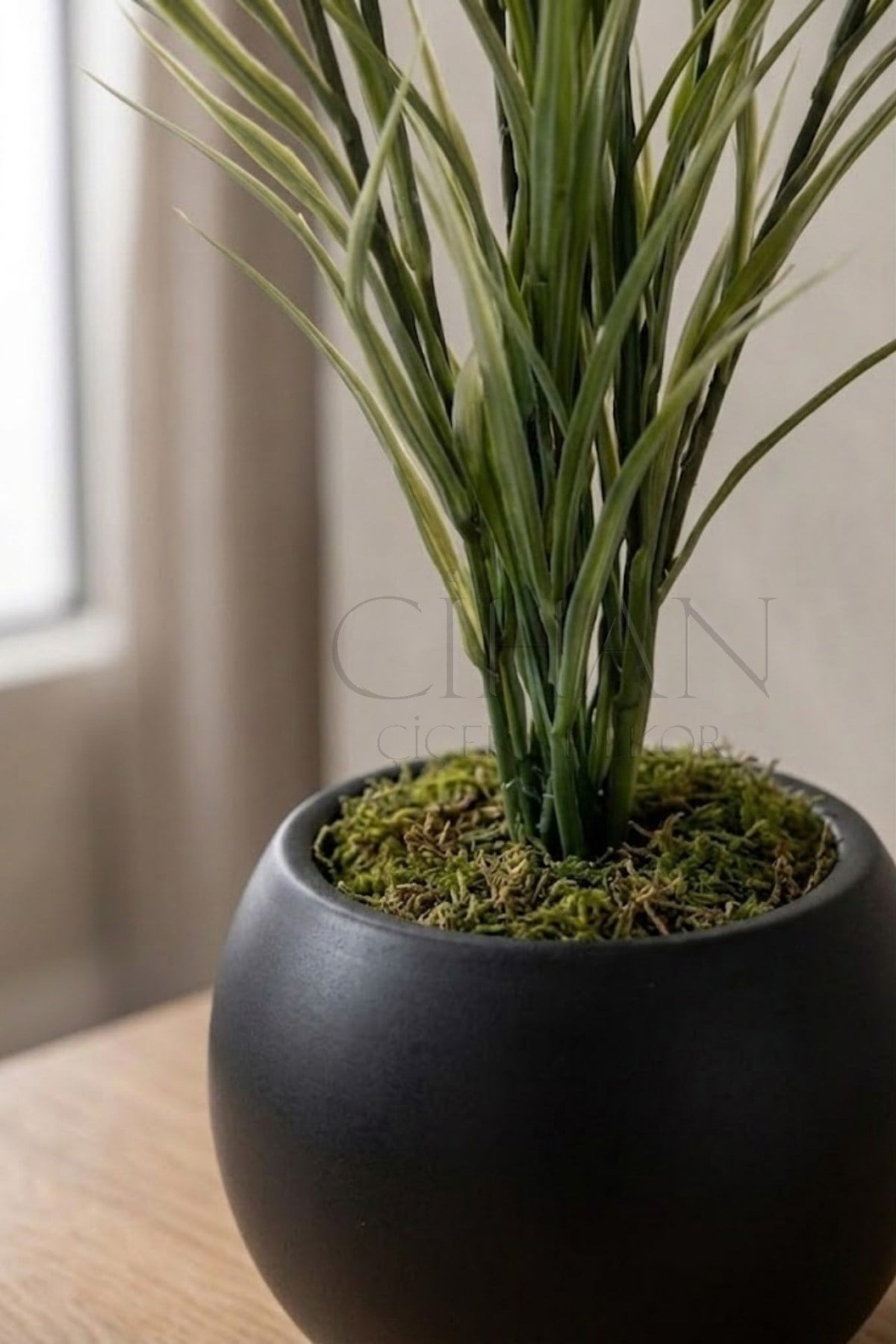 Küre Saksılı Açık Yeşil Yapay Sazlık 80 cm